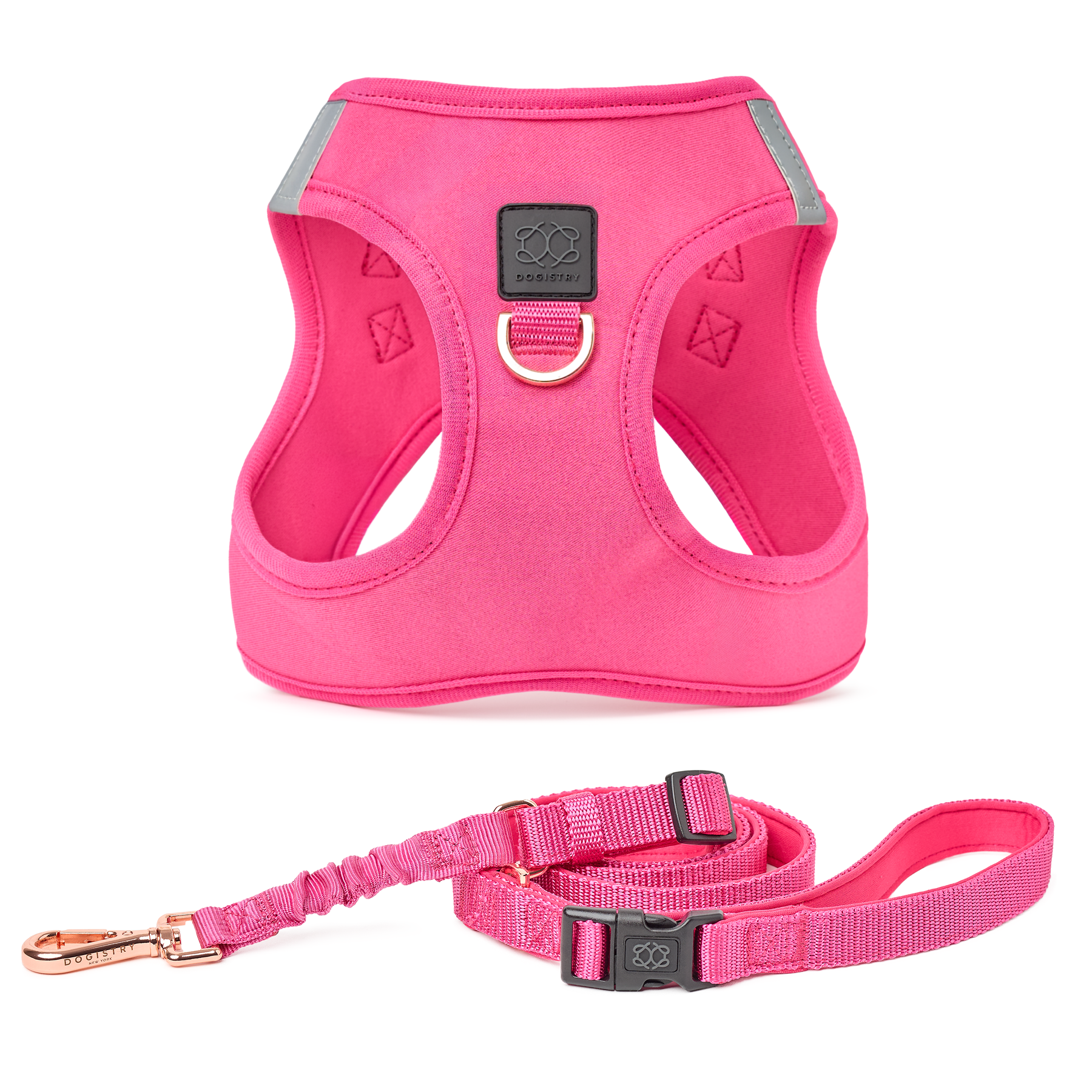 designer dog leashes and collars, designer dog collar and leash, pet accessories designer, fancy harness for dogs, luxury dog harness, fancy dog stuff, pet accessories designer, stylish dog leash