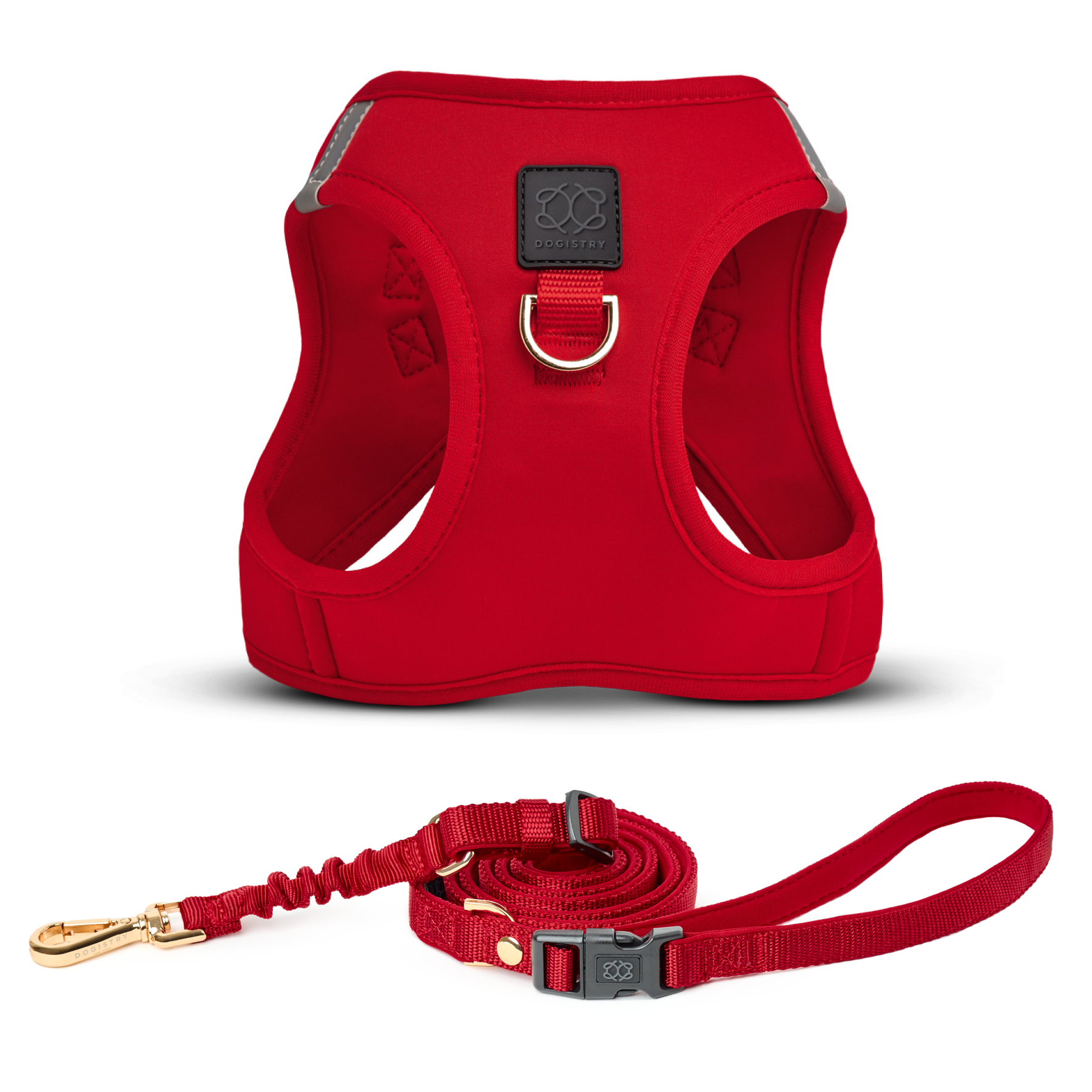 designer dog leashes and collars, designer dog collar and leash, pet accessories designer, fancy harness for dogs, luxury dog harness, fancy dog stuff, pet accessories designer, stylish dog leash