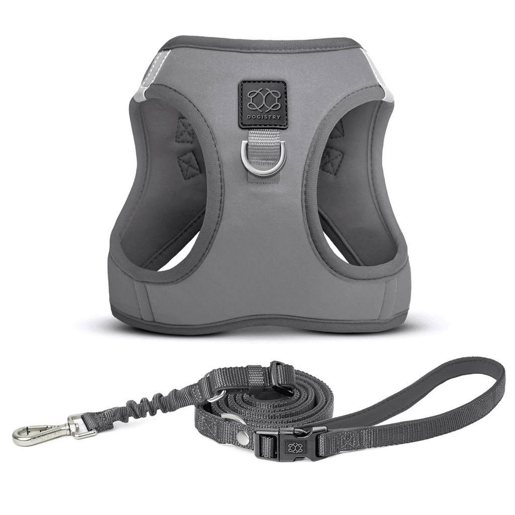 Best Fifth Avenue Blue Luxe Dog Walking Set | Dogistry