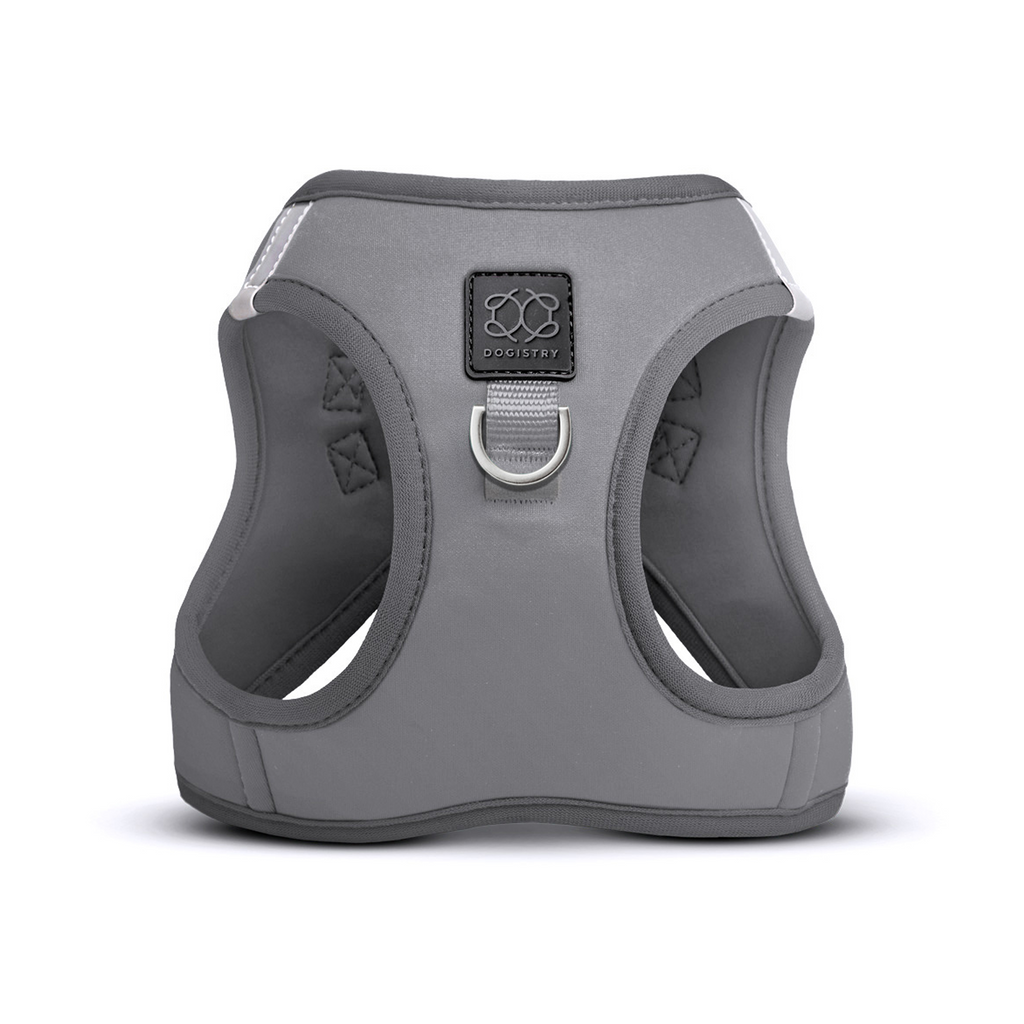 Award-Winning Heather Gray No-Pull Dog Harness | Dogistry