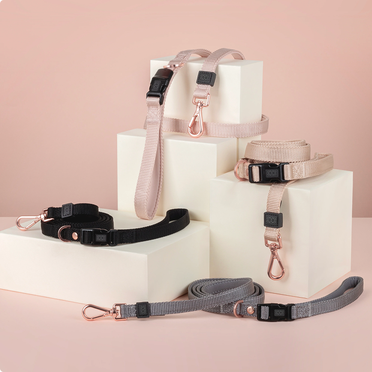 Variety of premium dog leashes in black, pink, beige, and grey with rose gold clips, organized on clean white studio blocks.