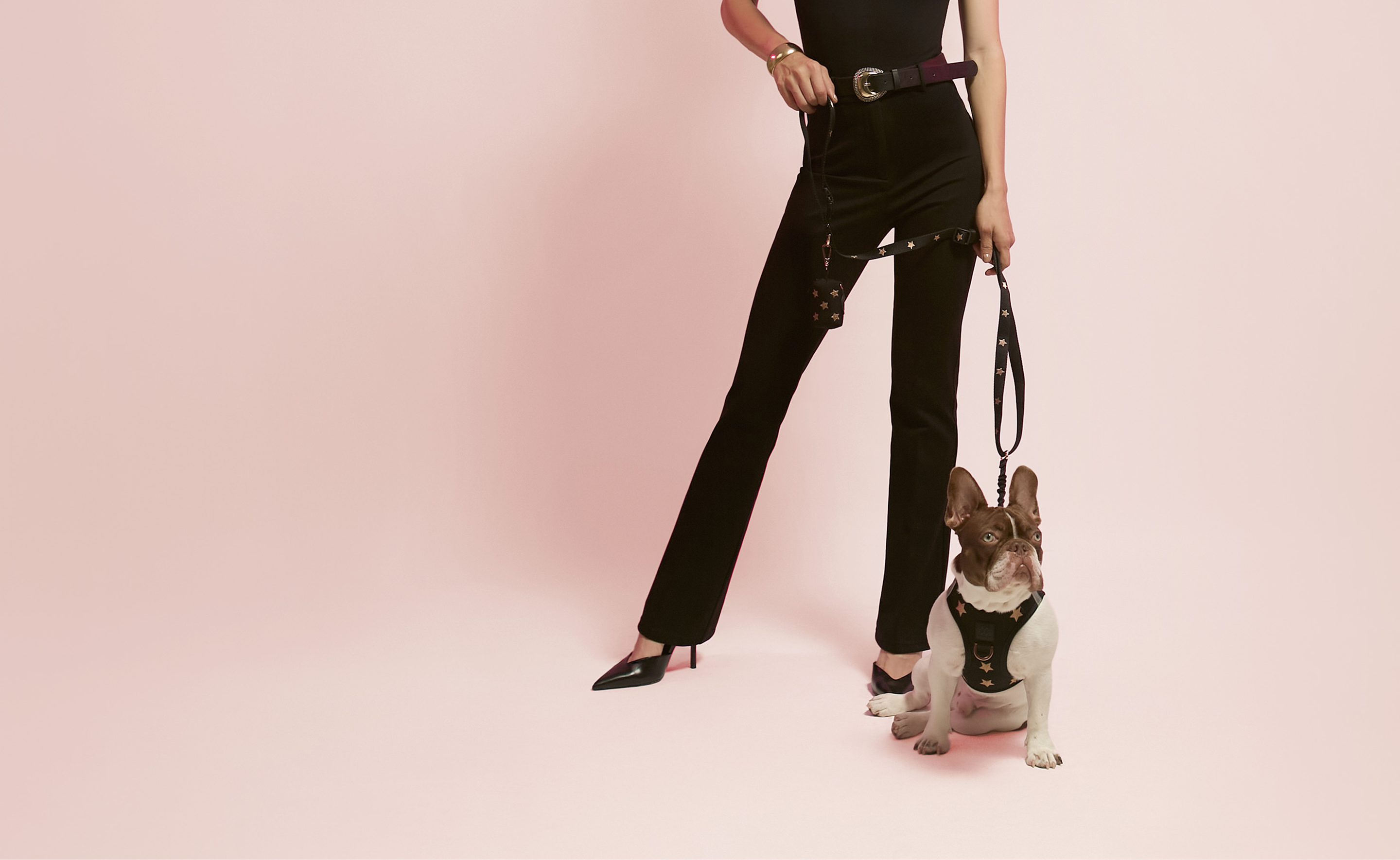 Full-body shot of a woman in a black jumpsuit walking a French Bulldog with a luxury black and gold star patterned walking set.
