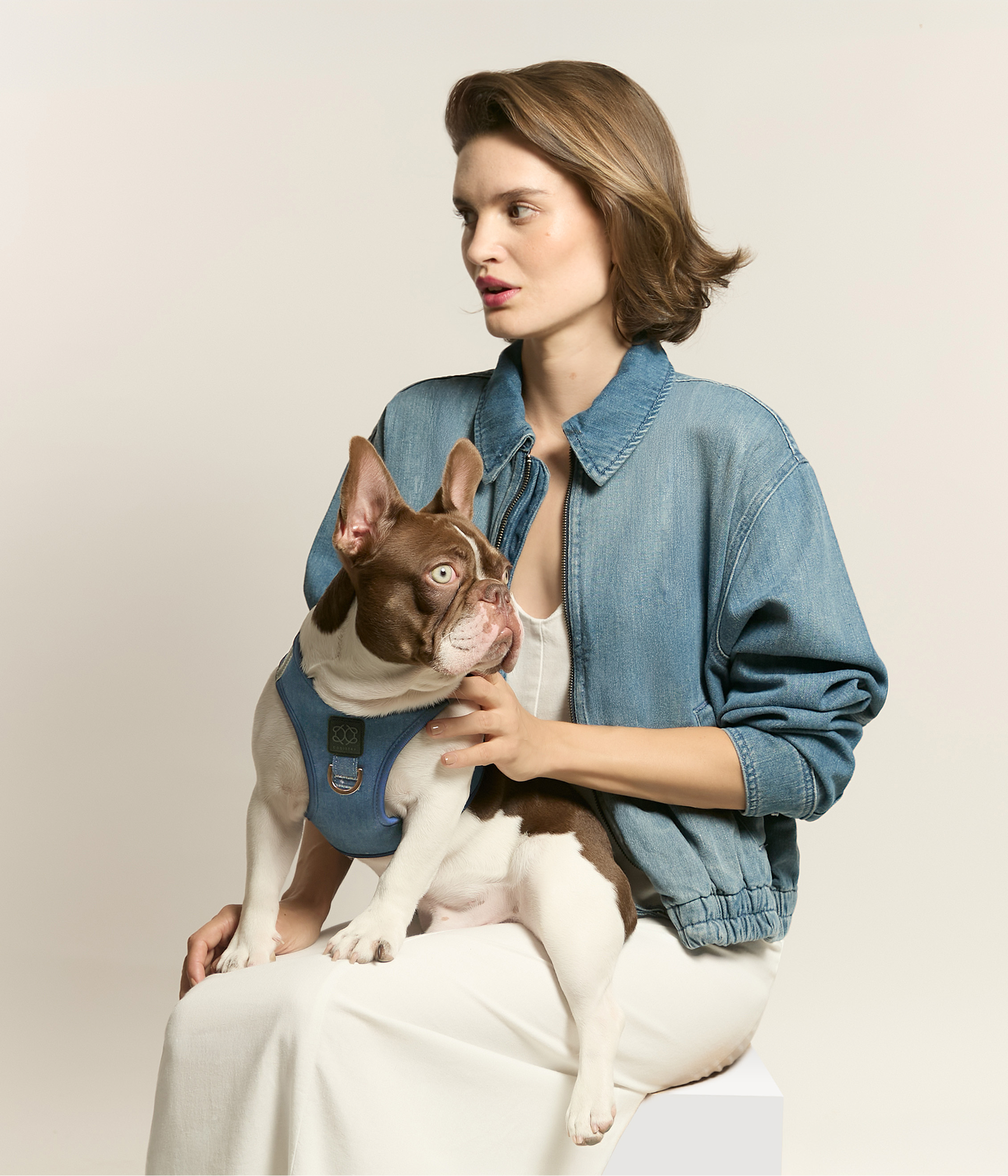 Lifestyle photography of a woman in a denim jacket holding a French Bulldog wearing a chic blue denim-style luxury harness.