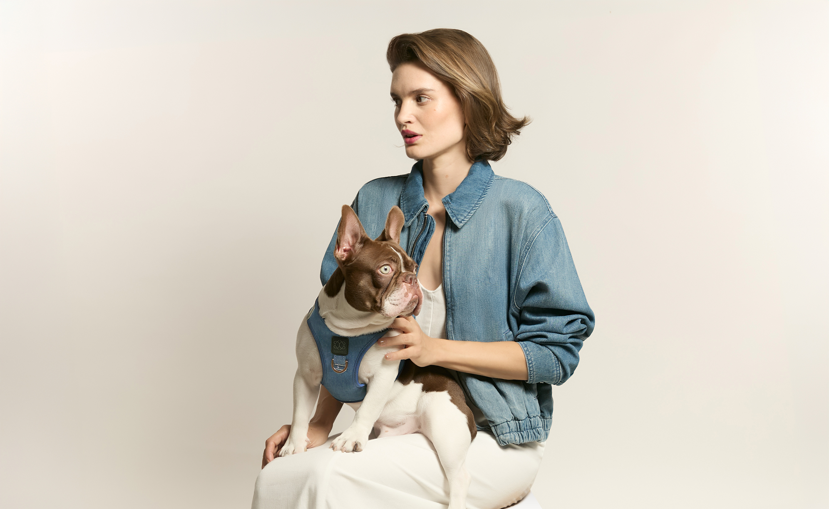 Lifestyle photography of a woman in a denim jacket holding a French Bulldog wearing a chic blue denim-style luxury harness.