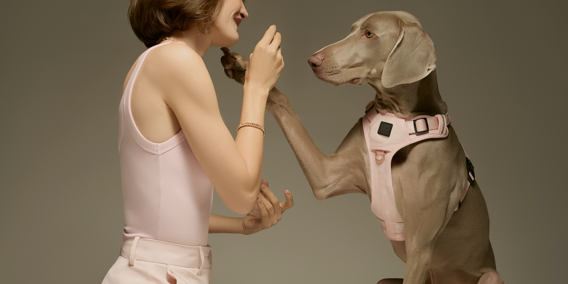 High-end lifestyle photography of a woman playing with a Weimaraner wearing a soft pink luxury harness with heart patterns against a grey background.