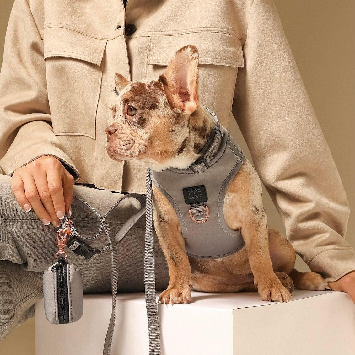 designer dog leashes and collars, designer dog collar and leash, pet accessories designer, fancy harness for dogs, luxury dog harness, fancy dog stuff, pet accessories designer, stylish dog leash