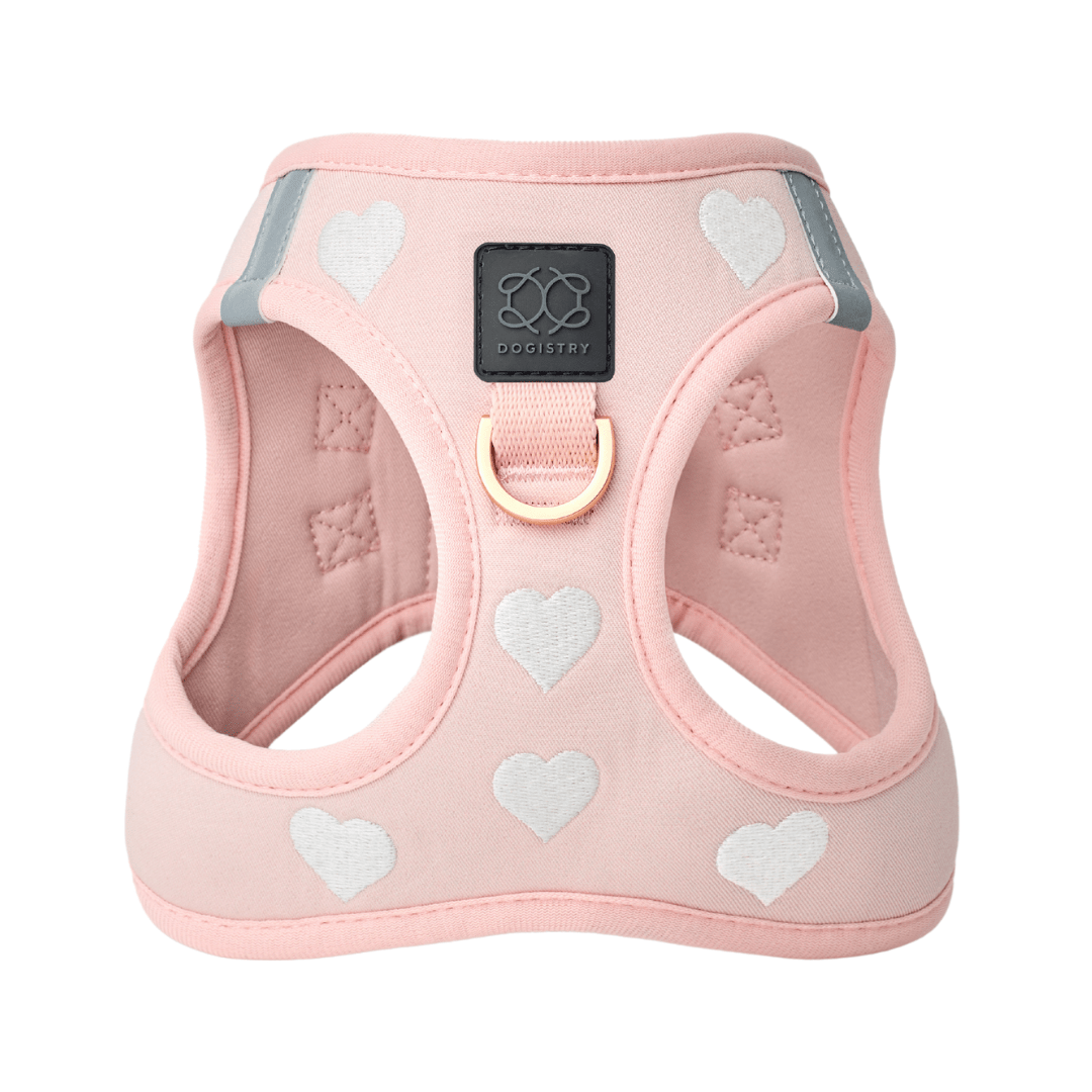 SoHo Dog Harness Sweetheart