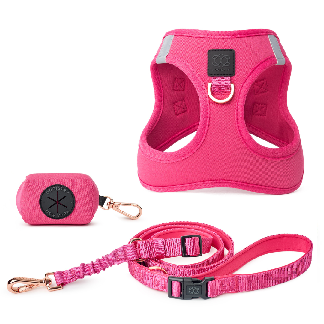 Best Park Ave Pink Luxe Dog Walking Set Dogistry