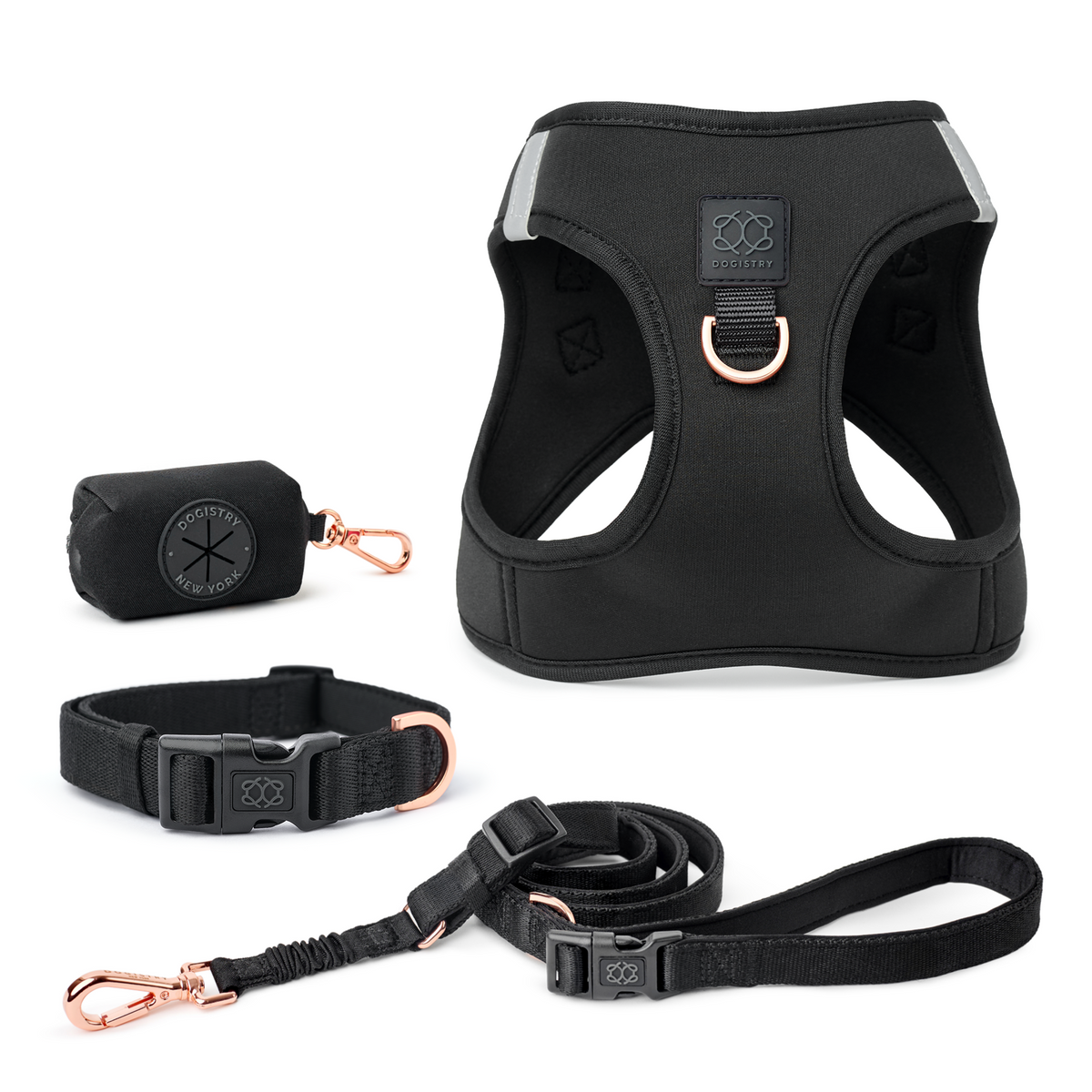 SoHo Complete Dog Walking Set - Black