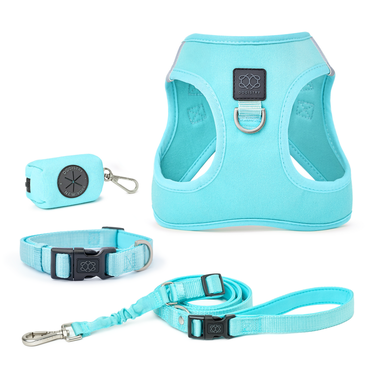 SoHo Complete Dog Walking Set - Fifth Avenue