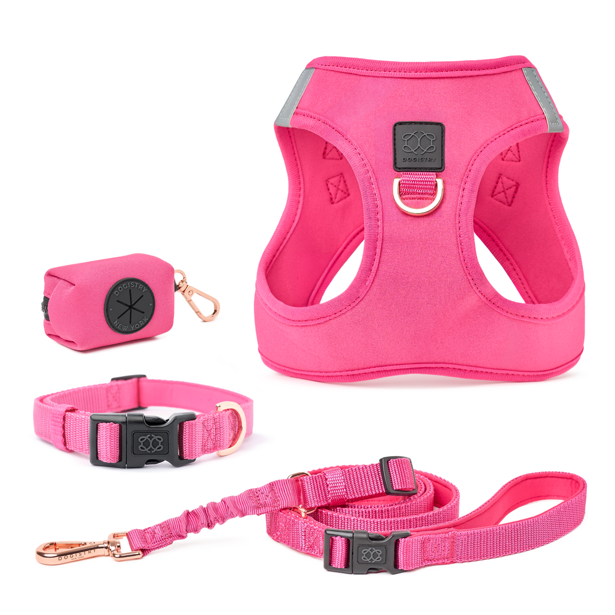 SoHo Complete Dog Walking Set - Park Ave Pink