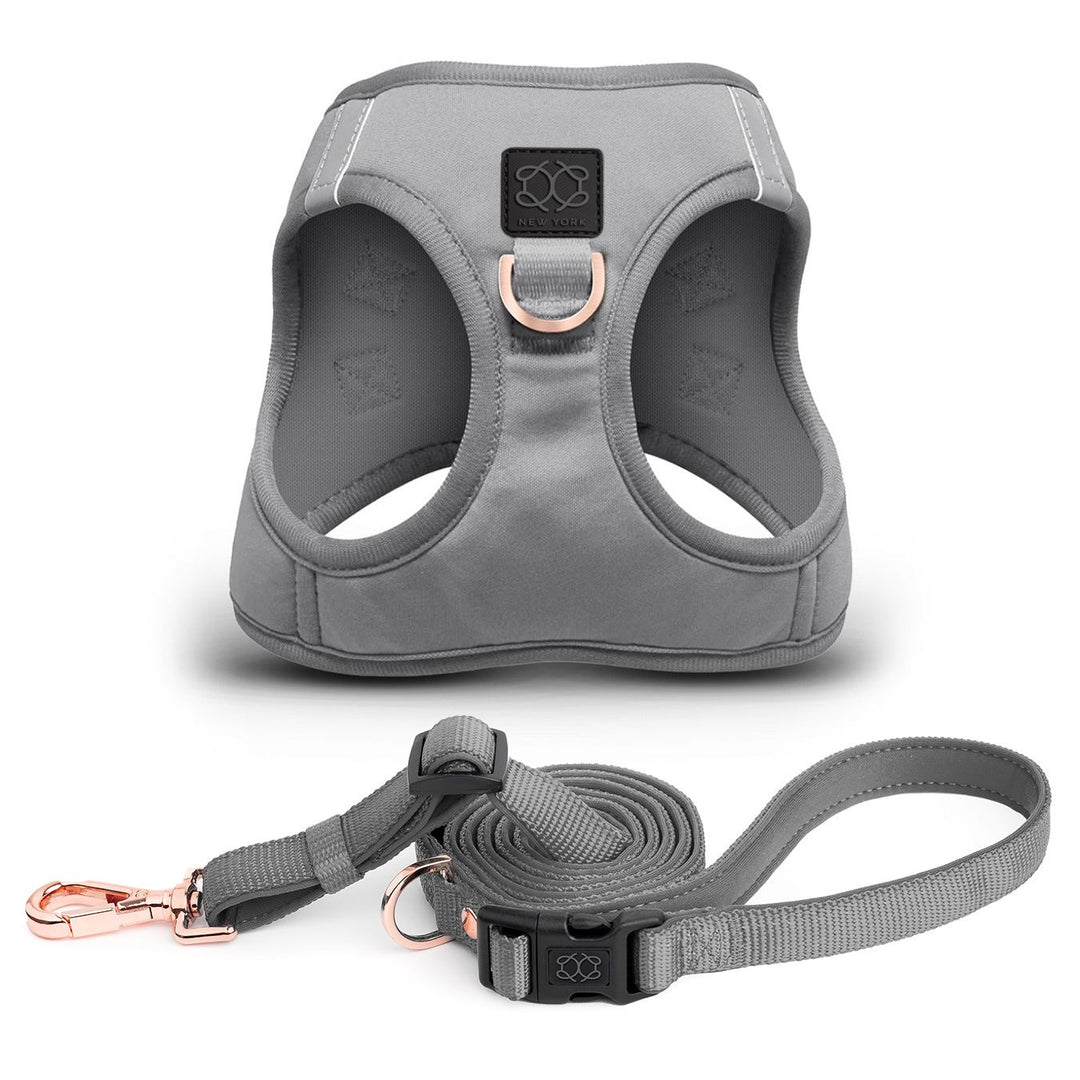 City Leash Set - Steel