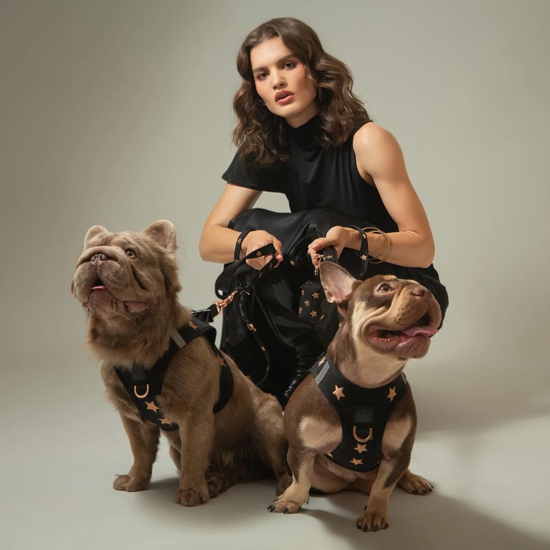 SoHo Dog Walking Set - Rockstar