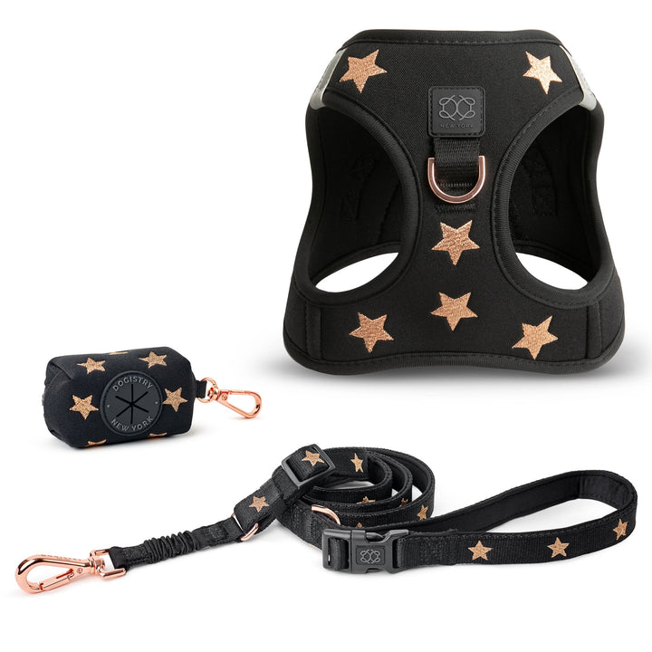 designer dog leashes and collars, designer dog collar and leash, pet accessories designer, fancy harness for dogs, luxury dog harness, fancy dog stuff, pet accessories designer, stylish dog leash