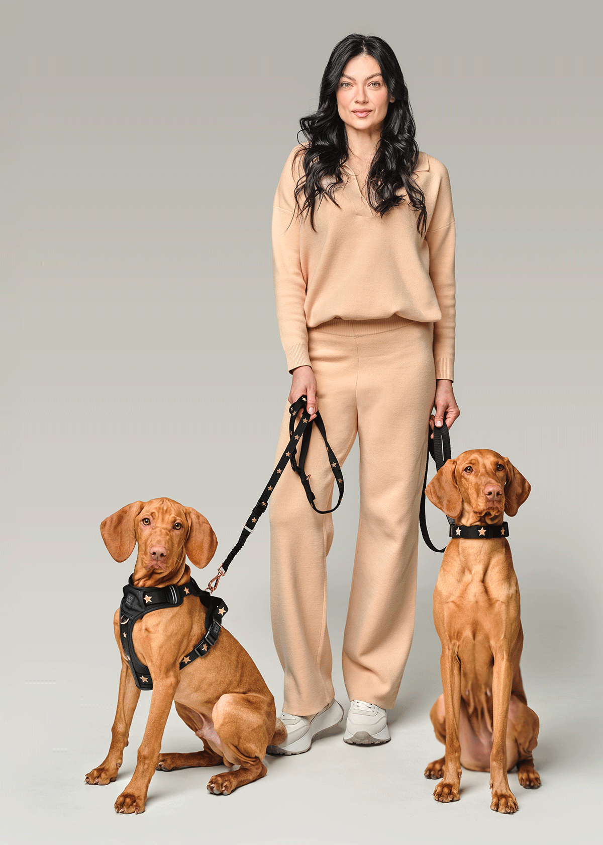 The Complete Guide to Choosing the Best Dog Leash for Safe, Comfortable, and Stylish Walks