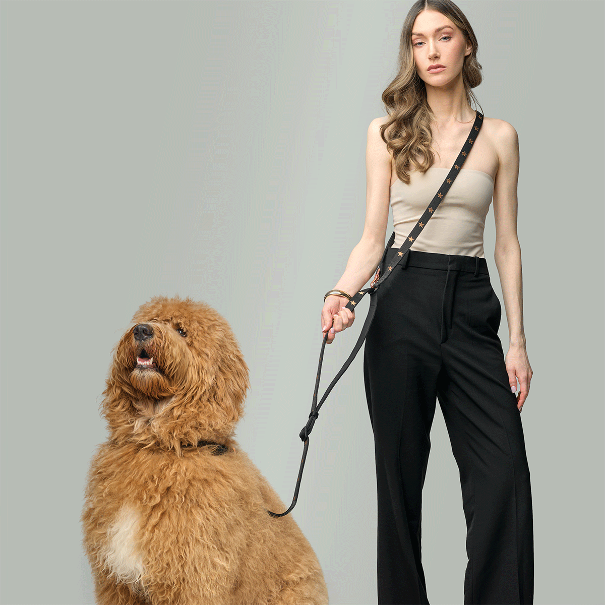 The Complete Guide to Choosing the Best Dog Leash for Your Lifestyle