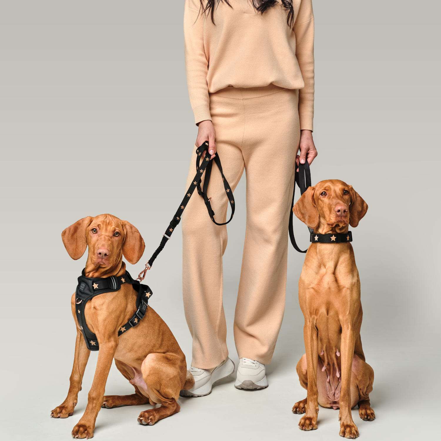 Why Dogistry Bundle Sets Are the Smartest Choice for Complete, Stylish, and Stress-Free Dog Walking