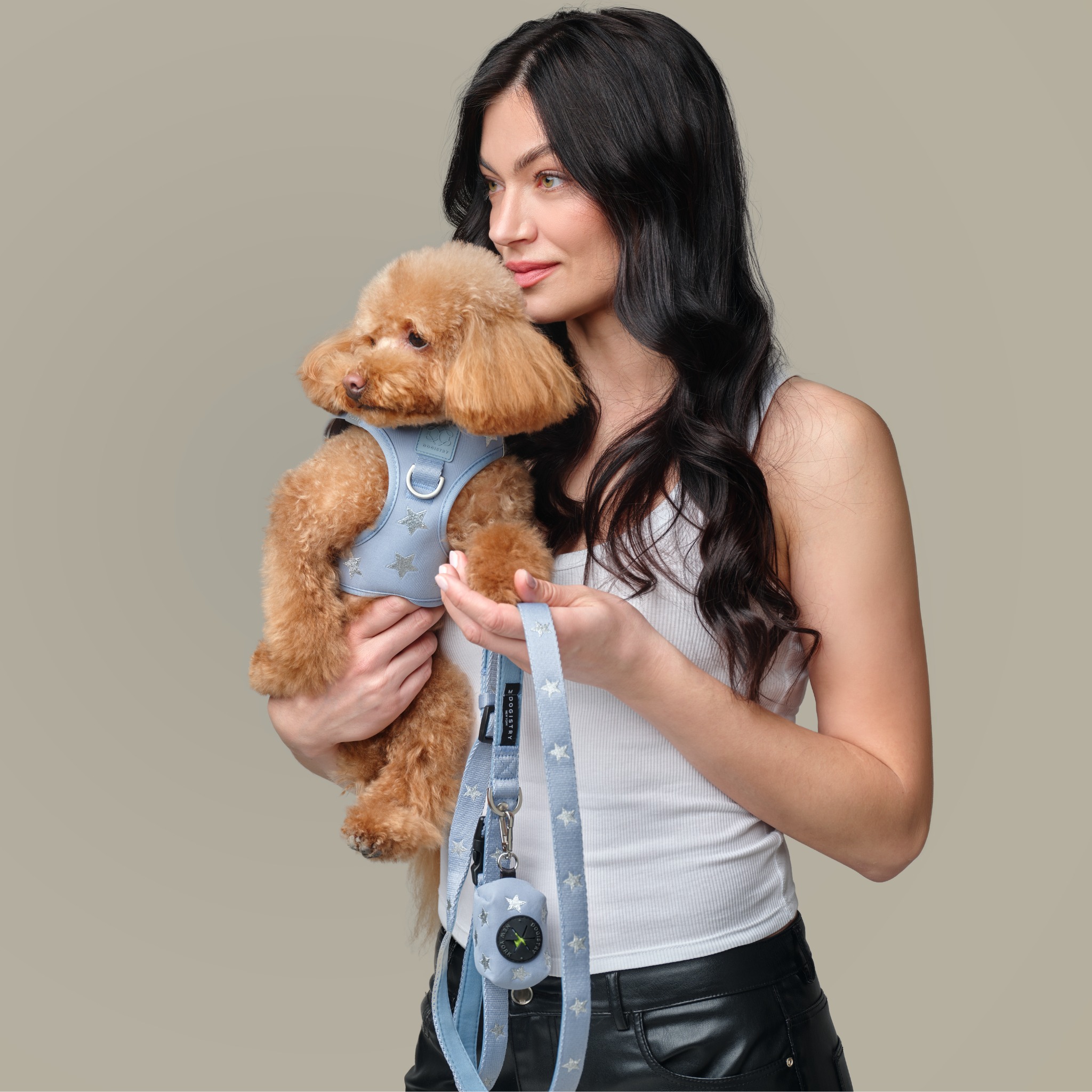 Dogistry Dog Harness: The Complete Guide to Comfortable, No-Pull Walking for Your Dog