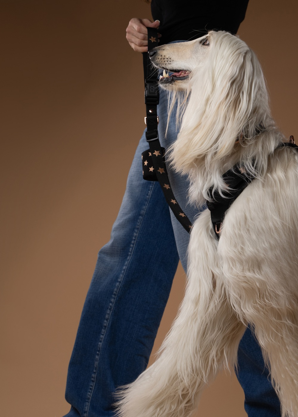 Why Dogistry Dog Leashes Are the Key to Safer, More Controlled, and Enjoyable Walks