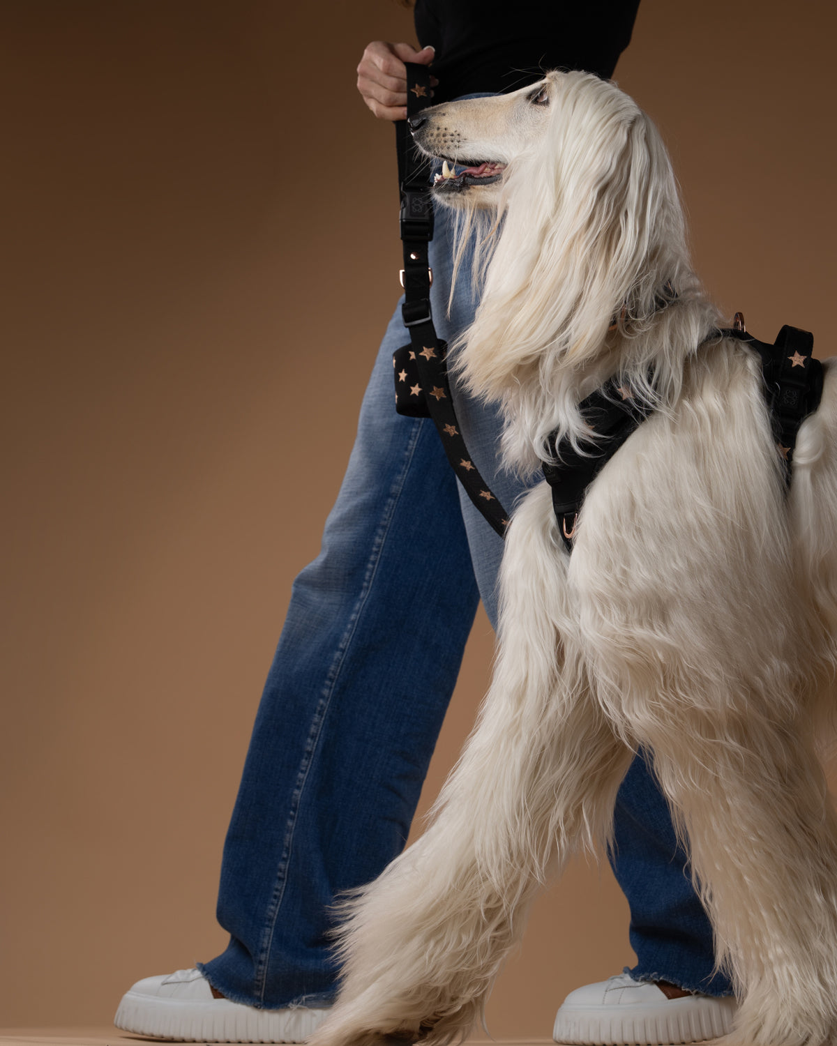How the Right Dog Leash Improves Safety, Training, and Everyday Walks