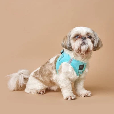 How to Choose the Right Dog Harness for Comfort, Confidence, and Everyday Adventures
