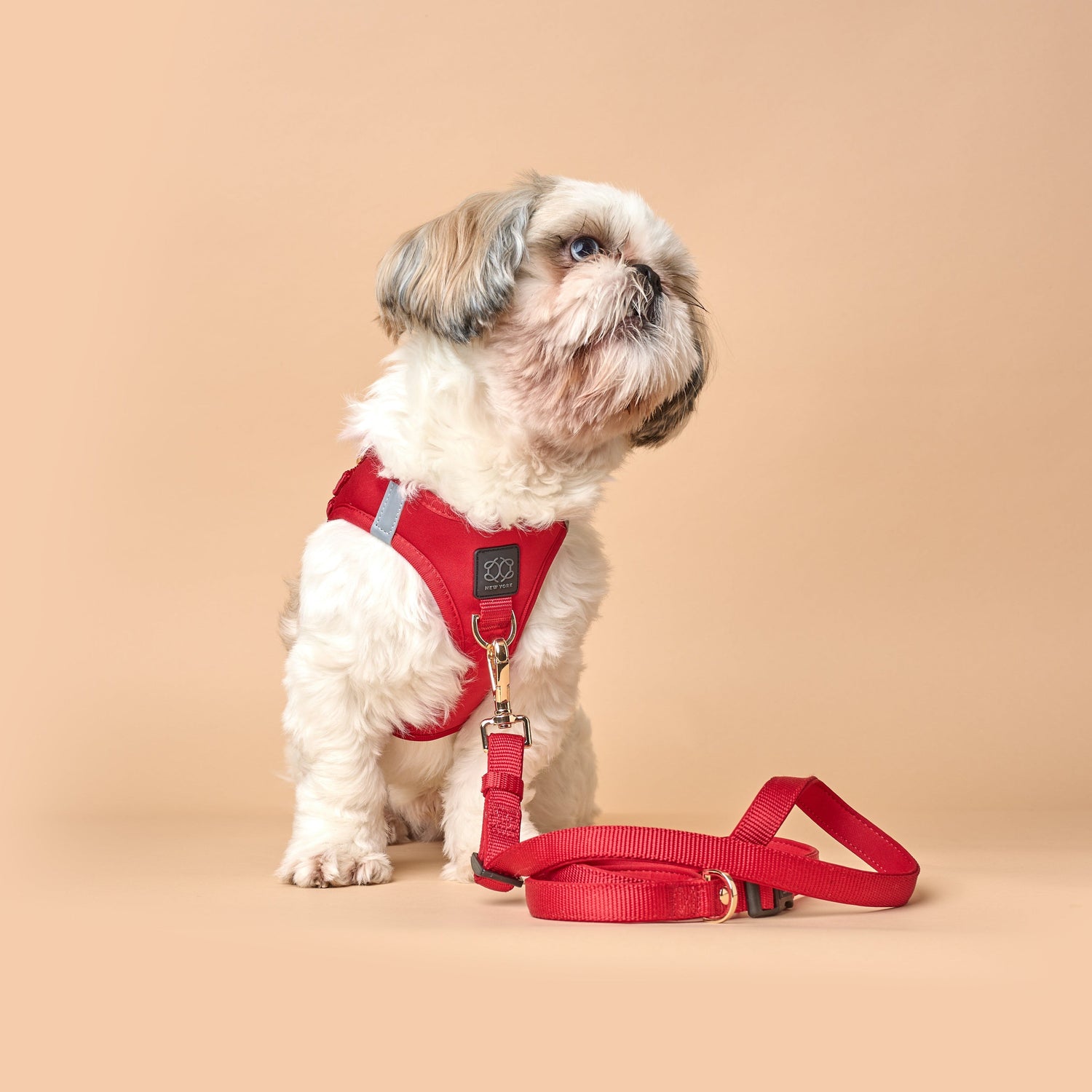 Walk with Control and Style: Dogistry Leashes for Every Dog