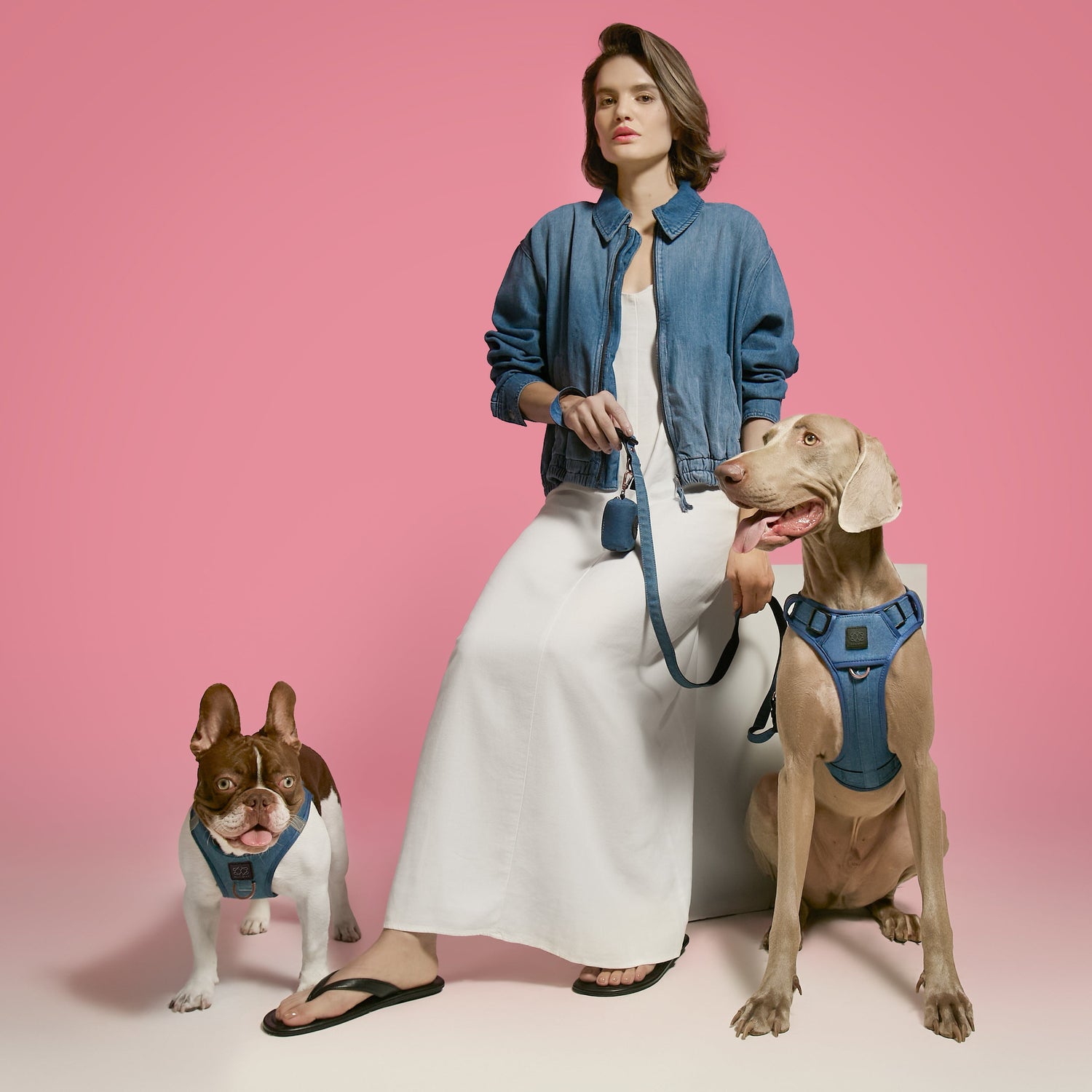 The Complete Dog Walking Set: Harness, Leash, and Poop Bag Holder