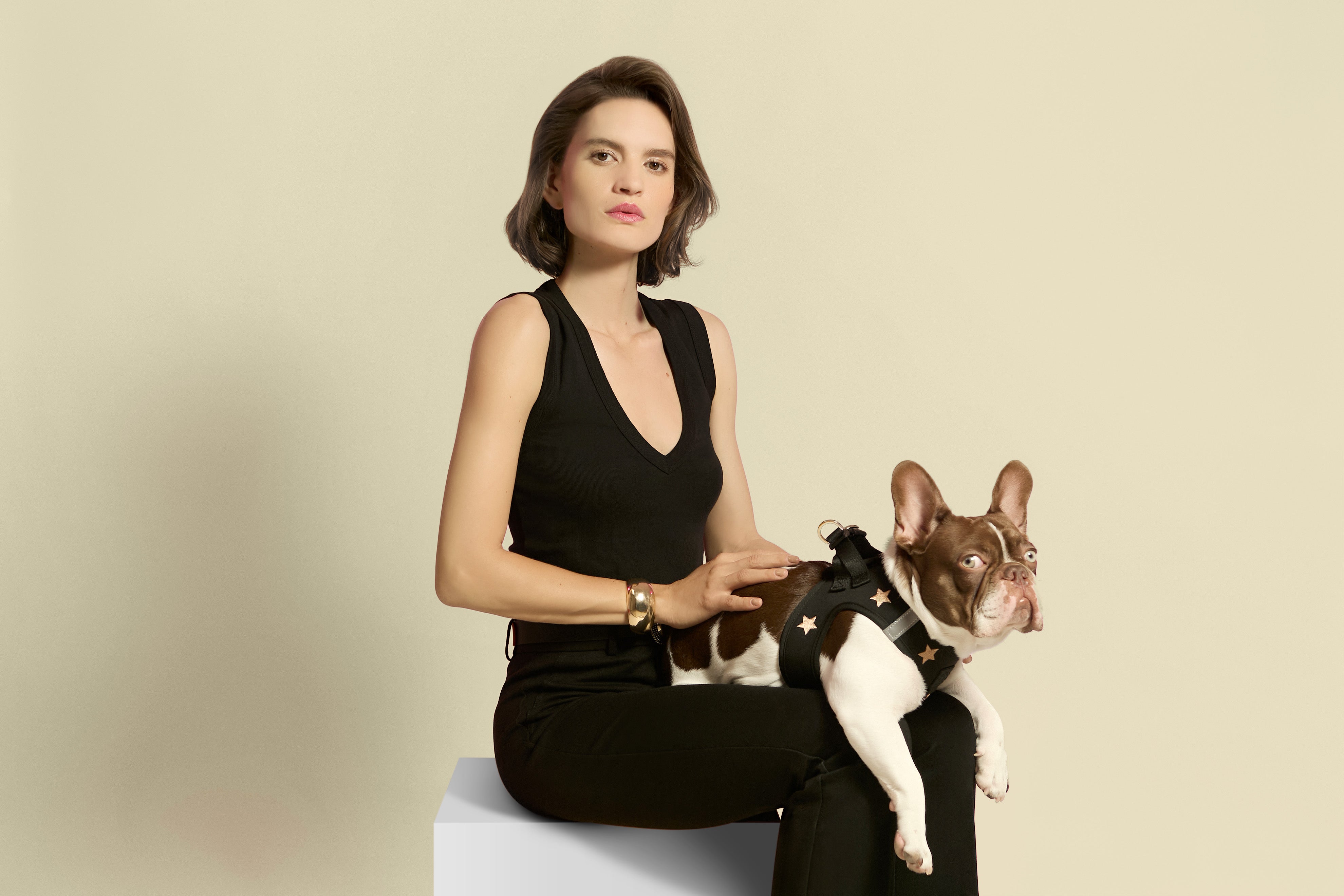 Stylish and Safe: Dog Accessories Perfect for Any Occasion