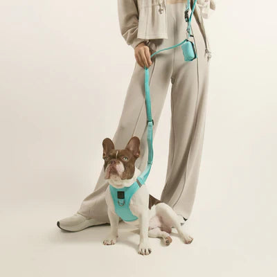 How Dogistry Poop Bag Holders Help Dog Owners Stay Organized Every Day