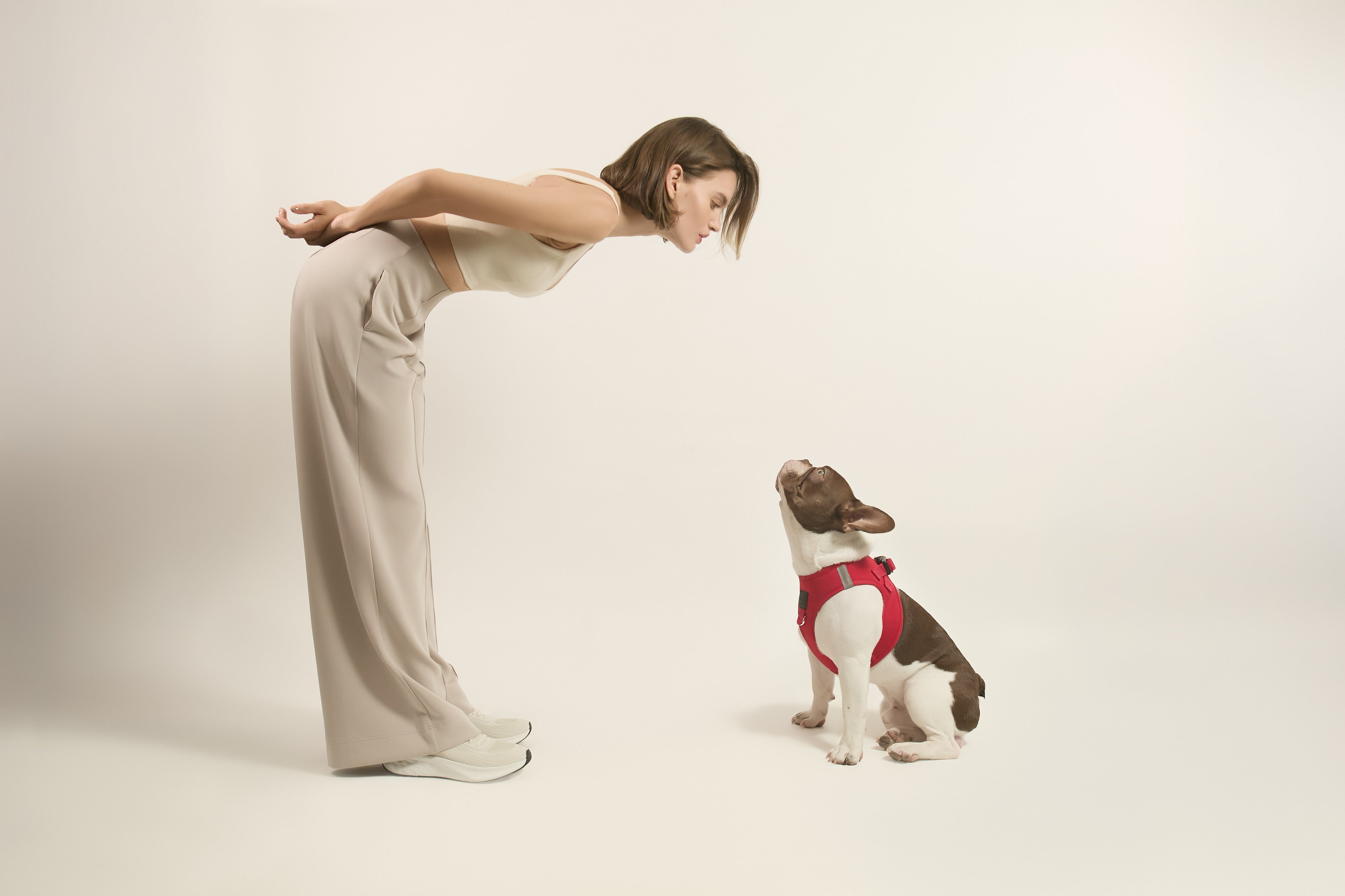 Find the Perfect Fit: A Guide to Dog Harnesses That Actually Work