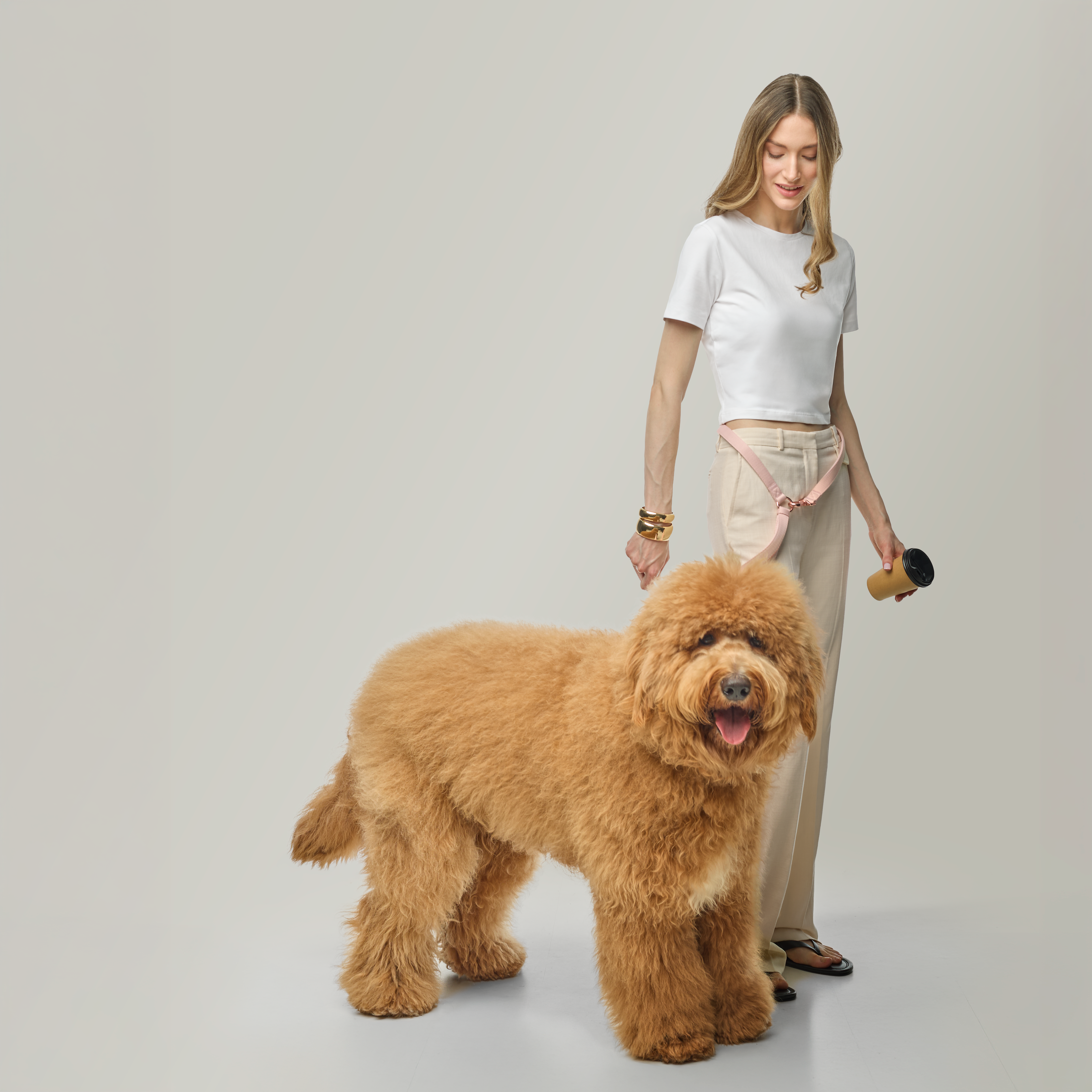 How Dogistry Dog Leashes Improve Control, Safety, and Confidence on Every Walk