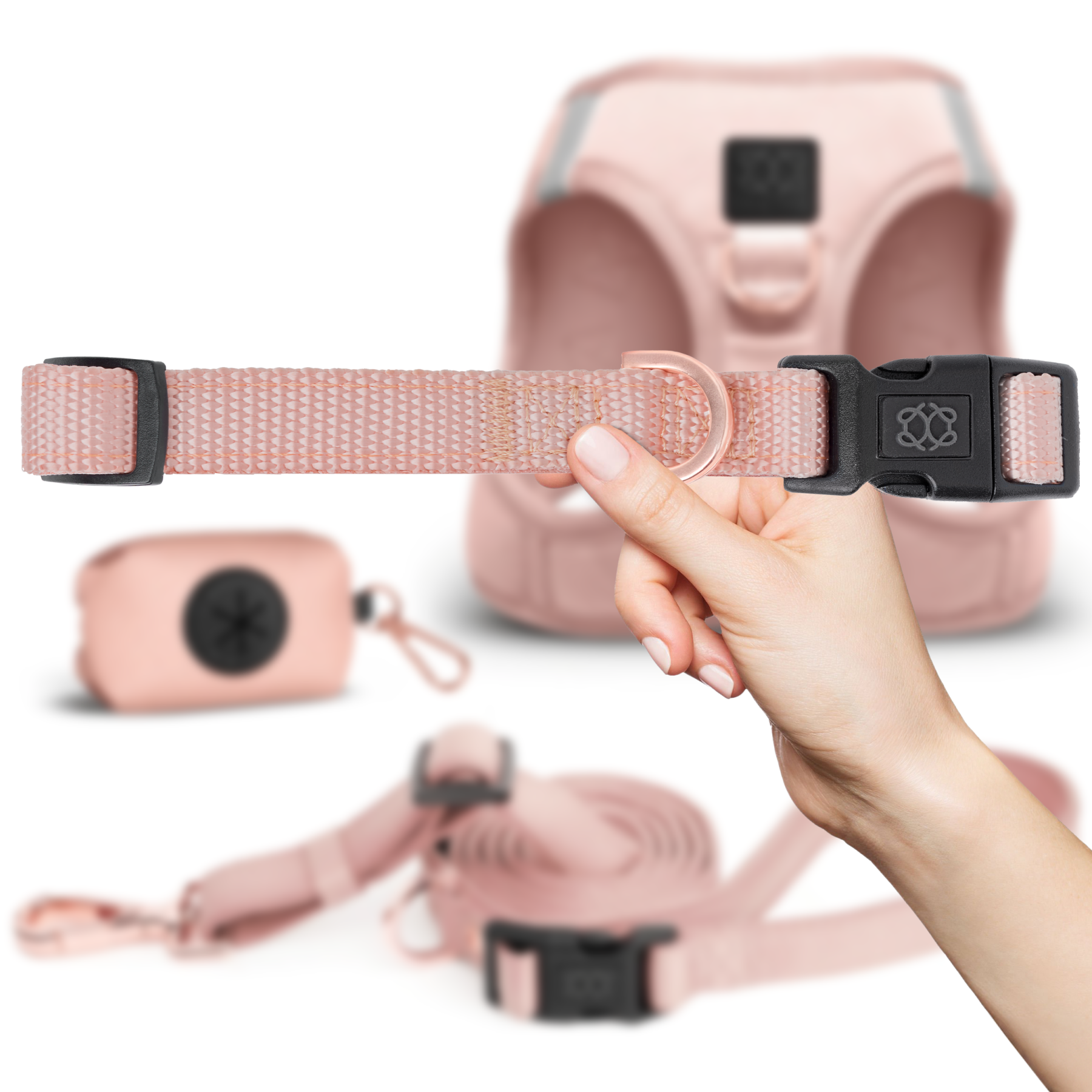 Dog Accessory Trends 2026: Comfort Meets Street-Style Design