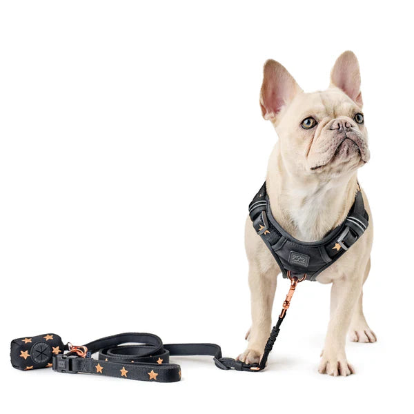 Why Dogistry Poop Bag Holders Make Dog Walks More Organized, Convenient, and Stress-Free