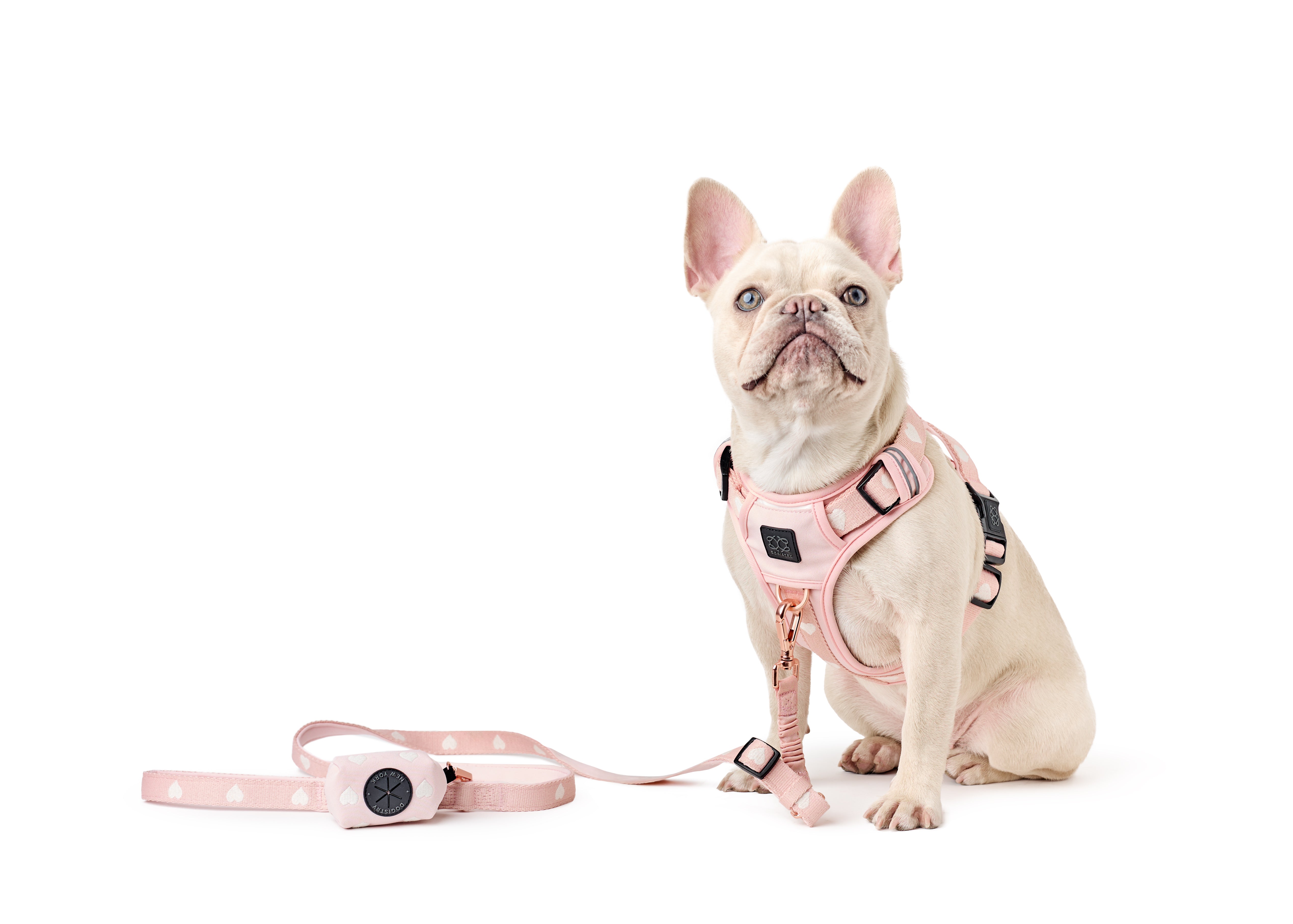 Best Dog Harness for French Bulldogs