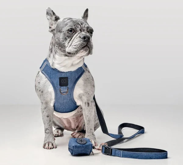 Why Every Dog Owner Needs a Premium Poop Bag Holder for Cleaner, More Organized Walks