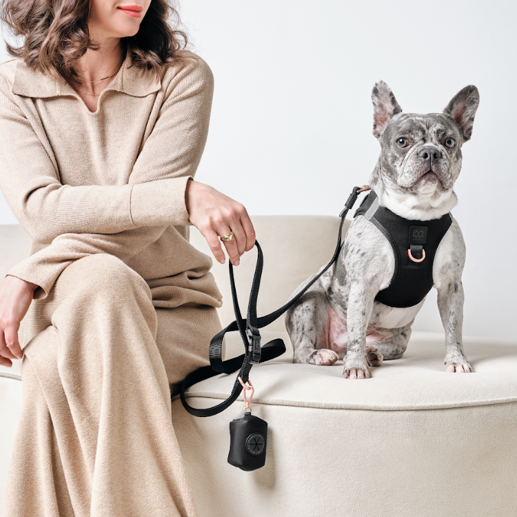 Dogistry Bundle Sets: The Complete Matching Walking System for Style, Convenience, and Value