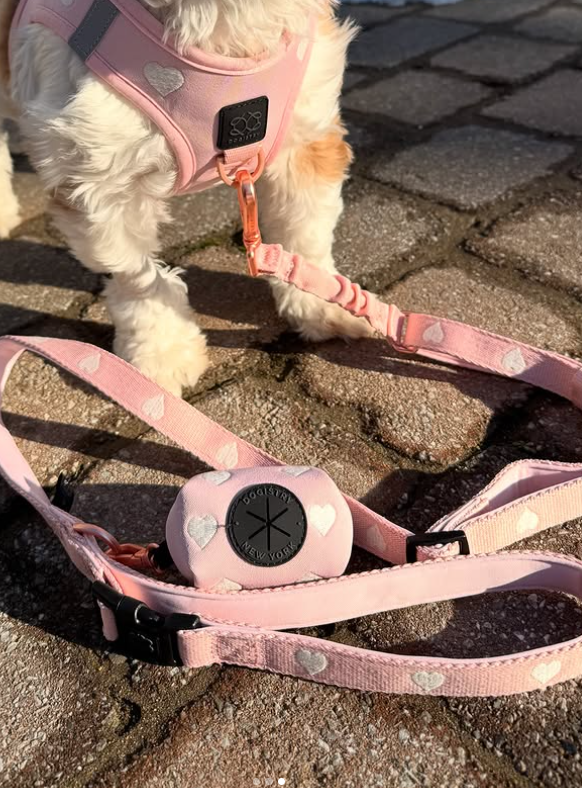 🐶 Match Made in Doggie Heaven: Why You Need a Matching Harness and Leash Set