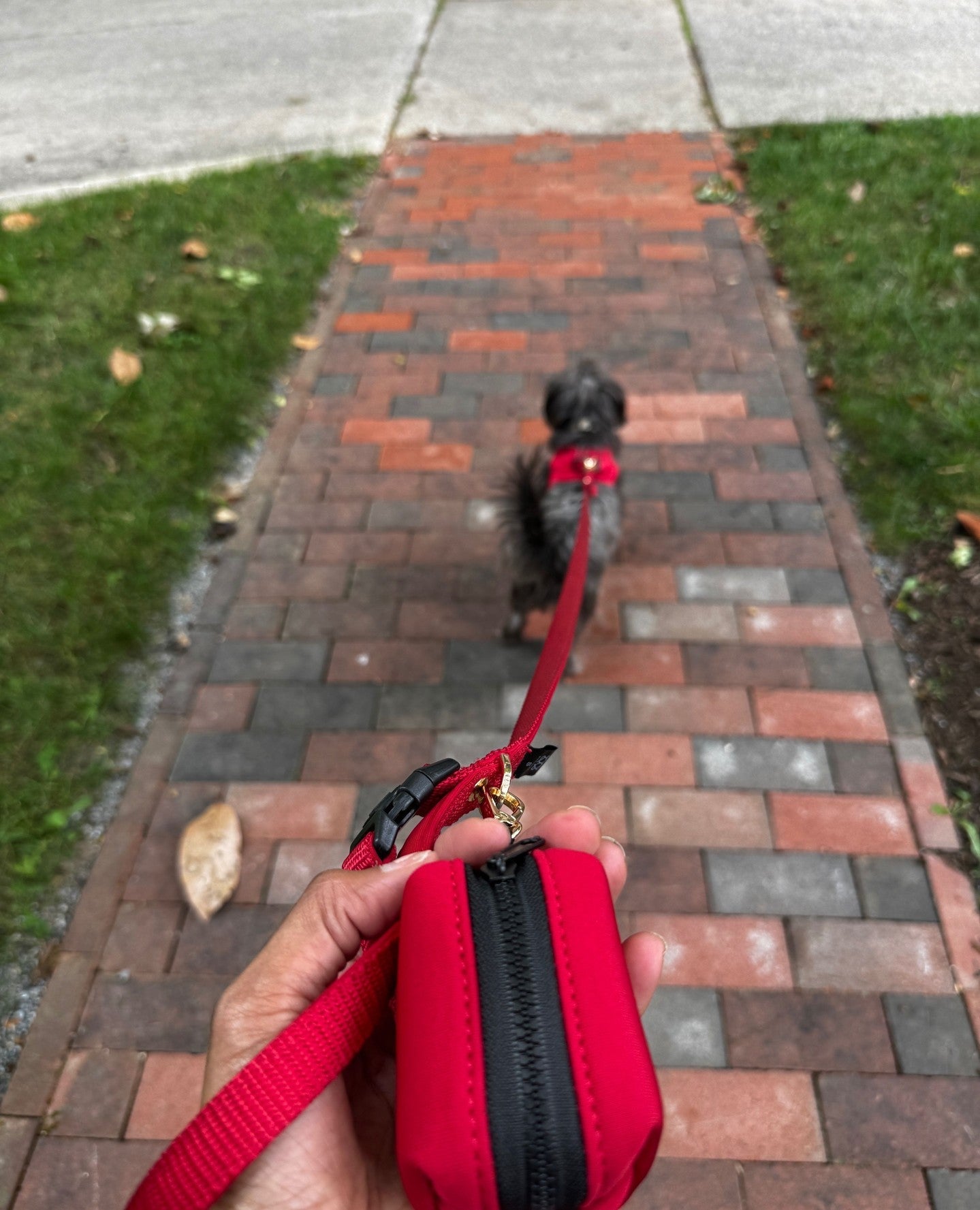 The Essential Dog Walking Accessory: Why Every Dog Owner Needs a Premium Poop Bag Holder