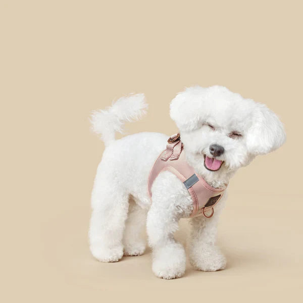 How a Dogistry Harness Improves Comfort, Safety, and Control for Everyday Dog Walks