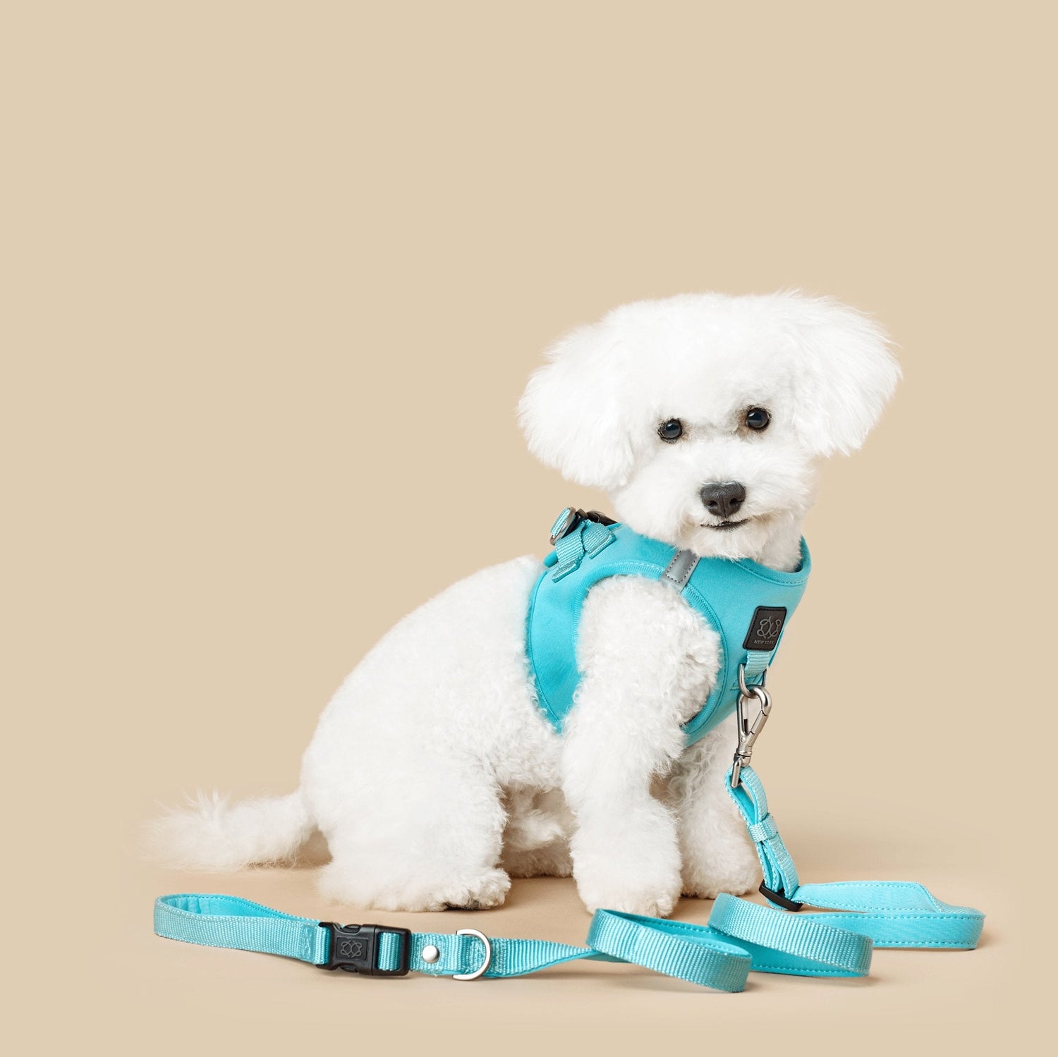 the-complete-dog-walking-gear-checklist-for-pups-who-deserve-the-best