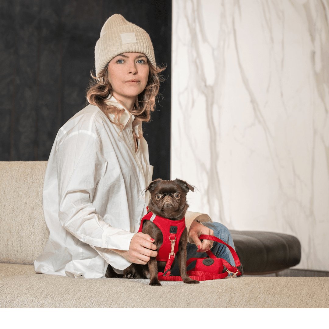 The Most Giftable Dog Accessories Dog Moms Are Obsessed With