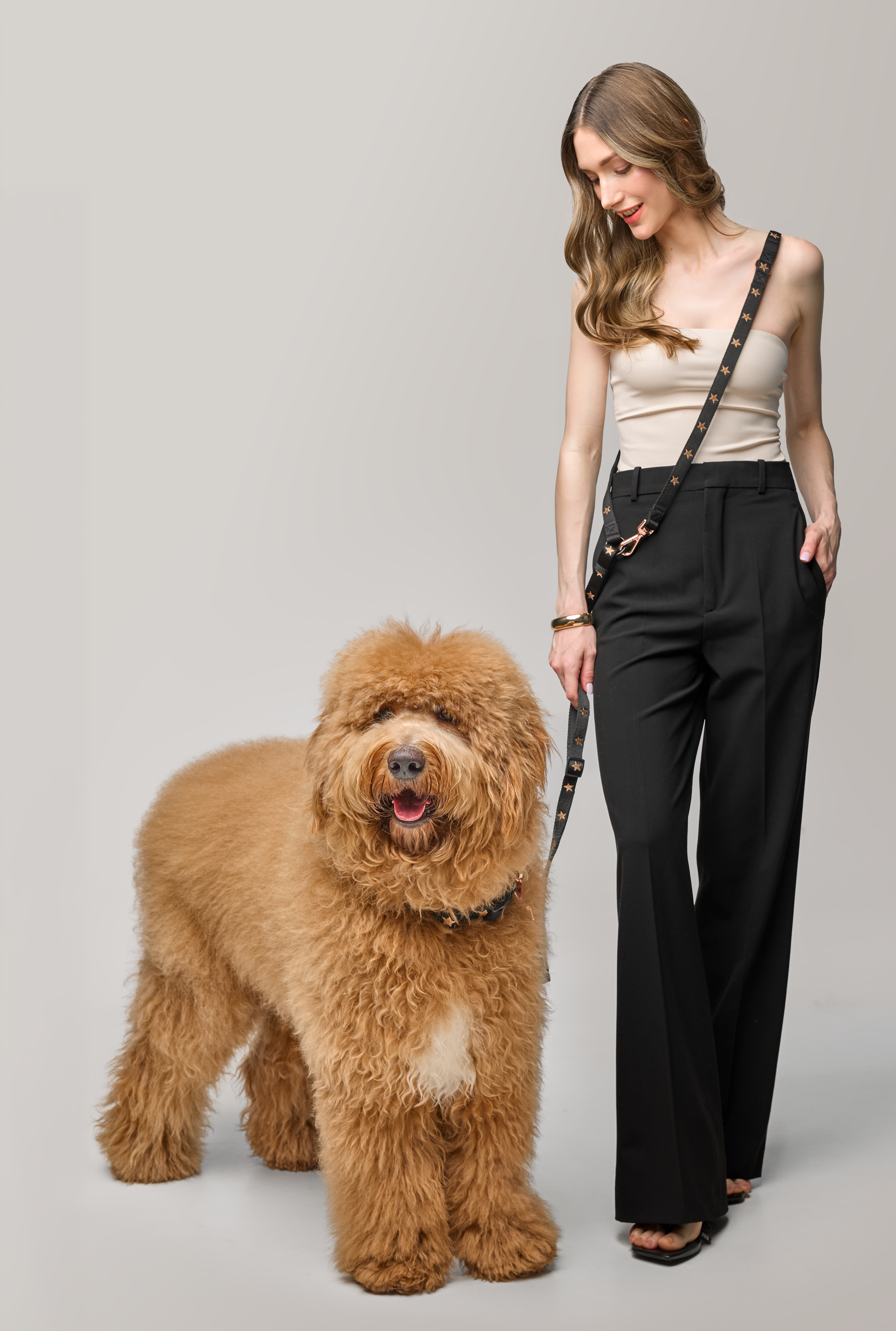 How a Dogistry Leash Enhances Safety, Control, and Confidence During Every Dog Walk