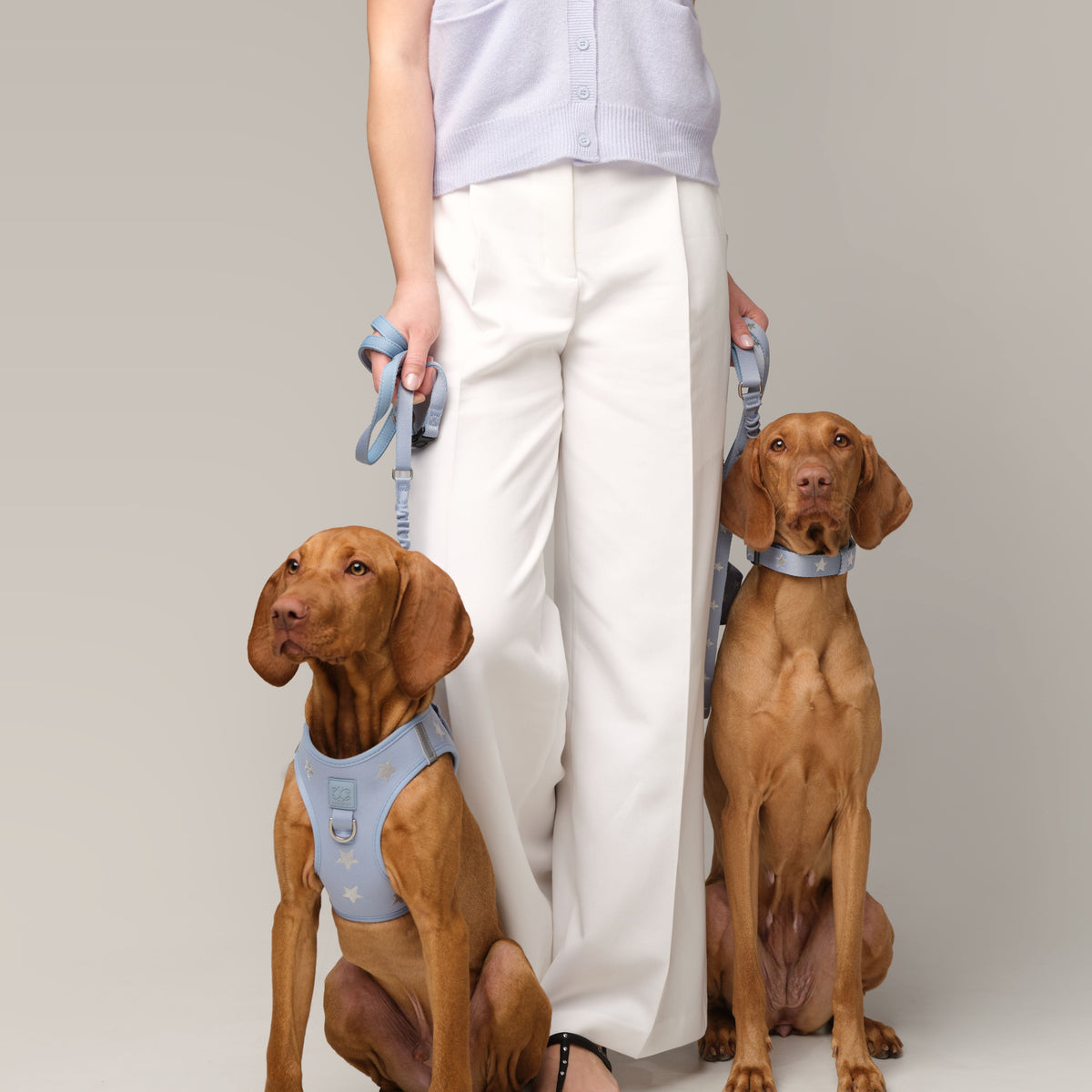 The DOGISTRY Complete Walking Collection: Four Essentials for a More Organized Dog Walk