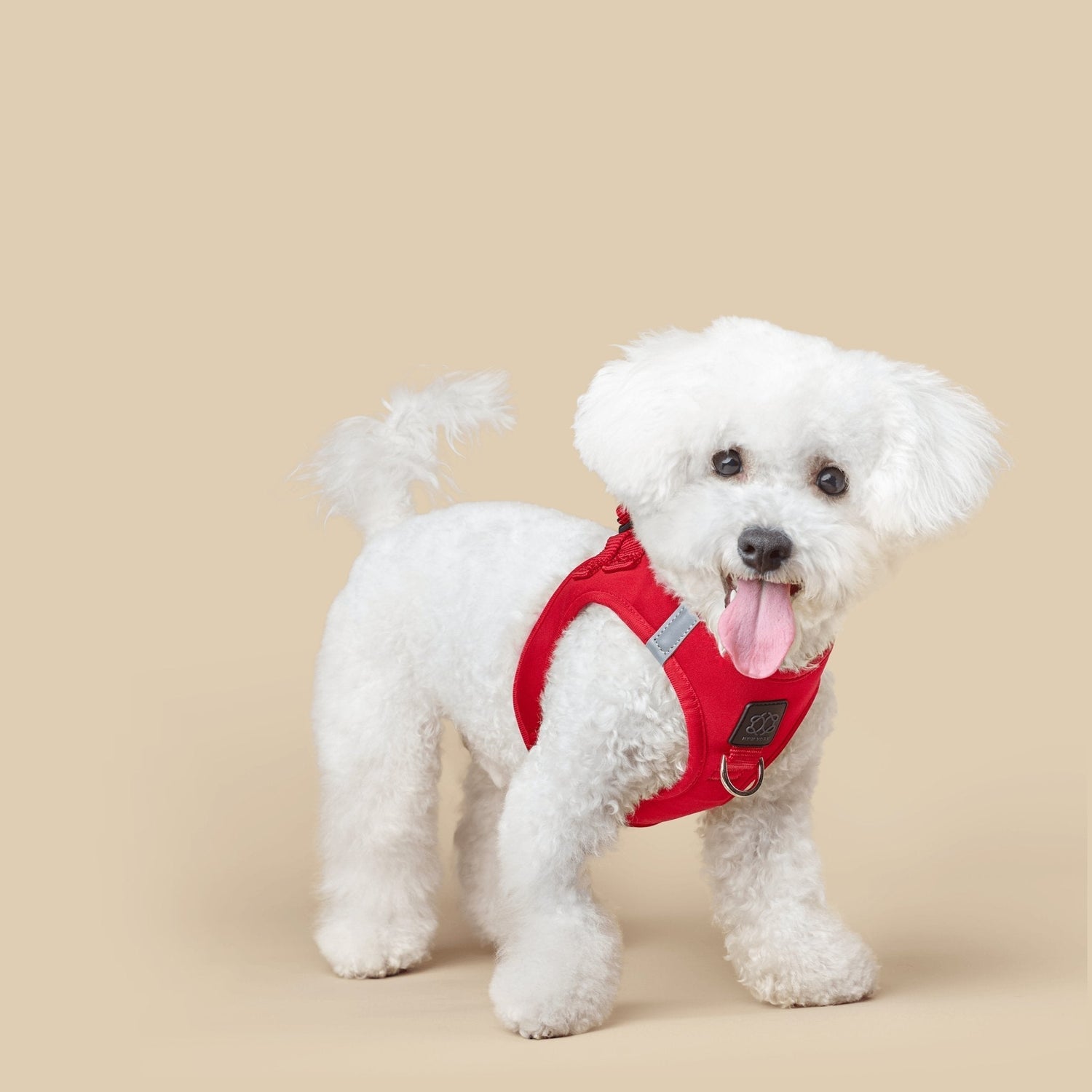 How to Choose a Stylish Dog Harness That’s Escape-Proof