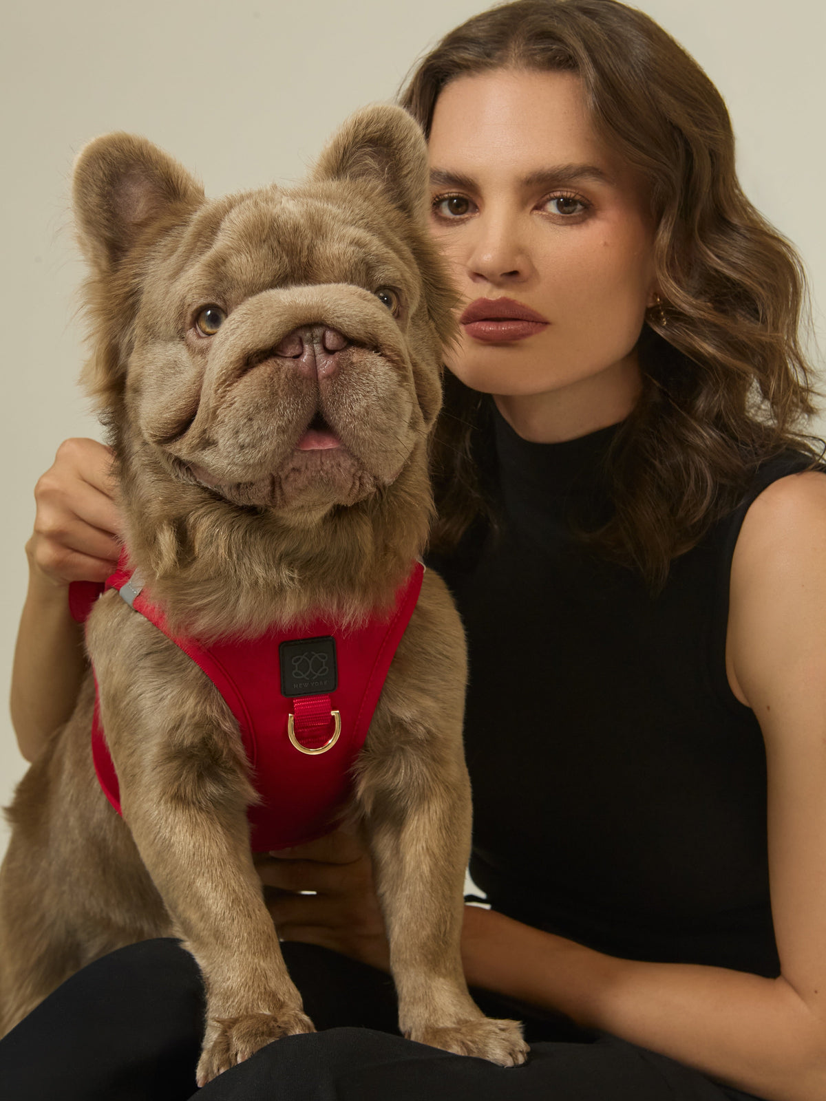 A Better Fit for Every Adventure: Understanding the DOGISTRY Dog Harness