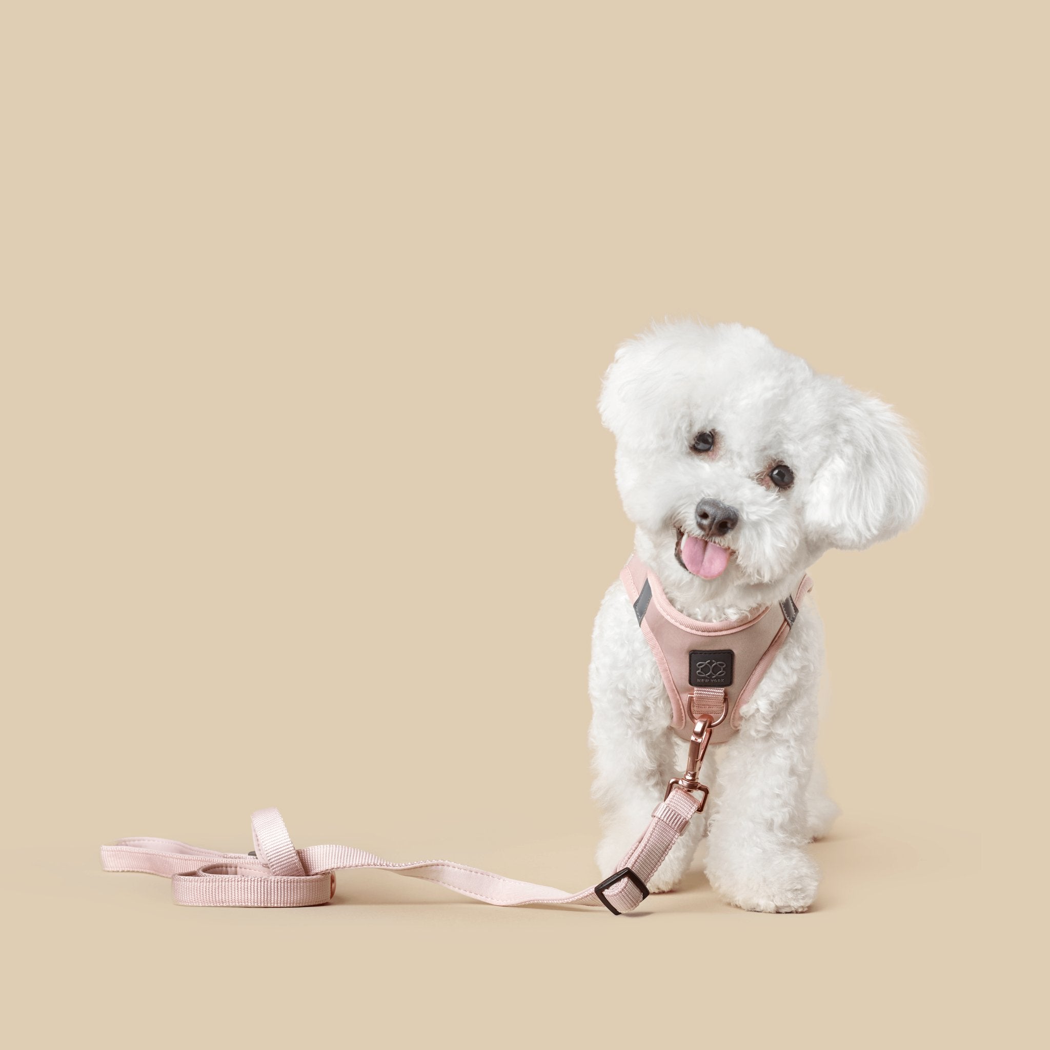 How to Measure Your Dog for the Perfect Harness Fit