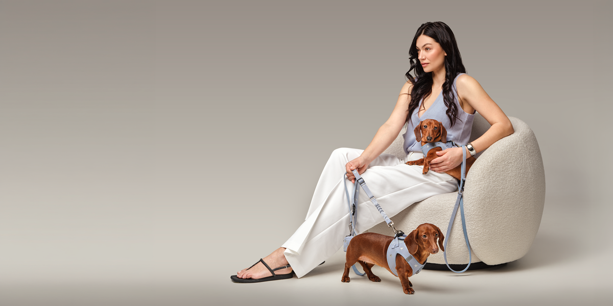 3-Piece Dog Walking Sets