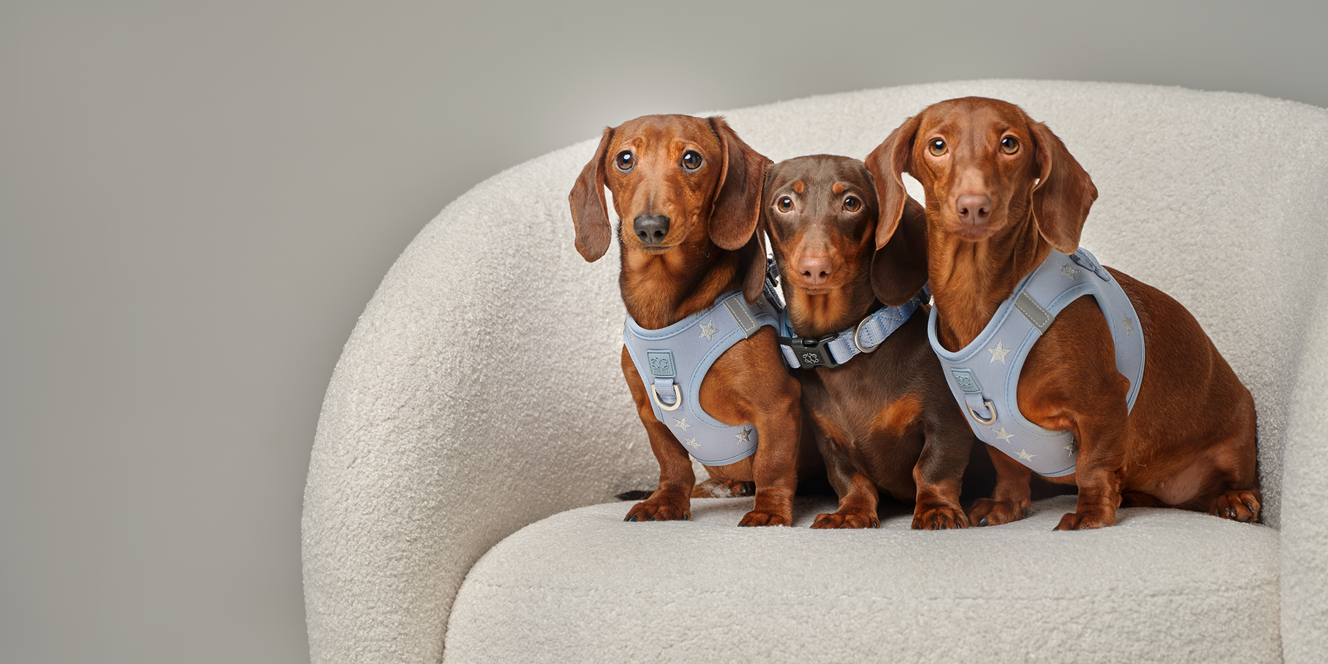 Rockstar Hudson Collection