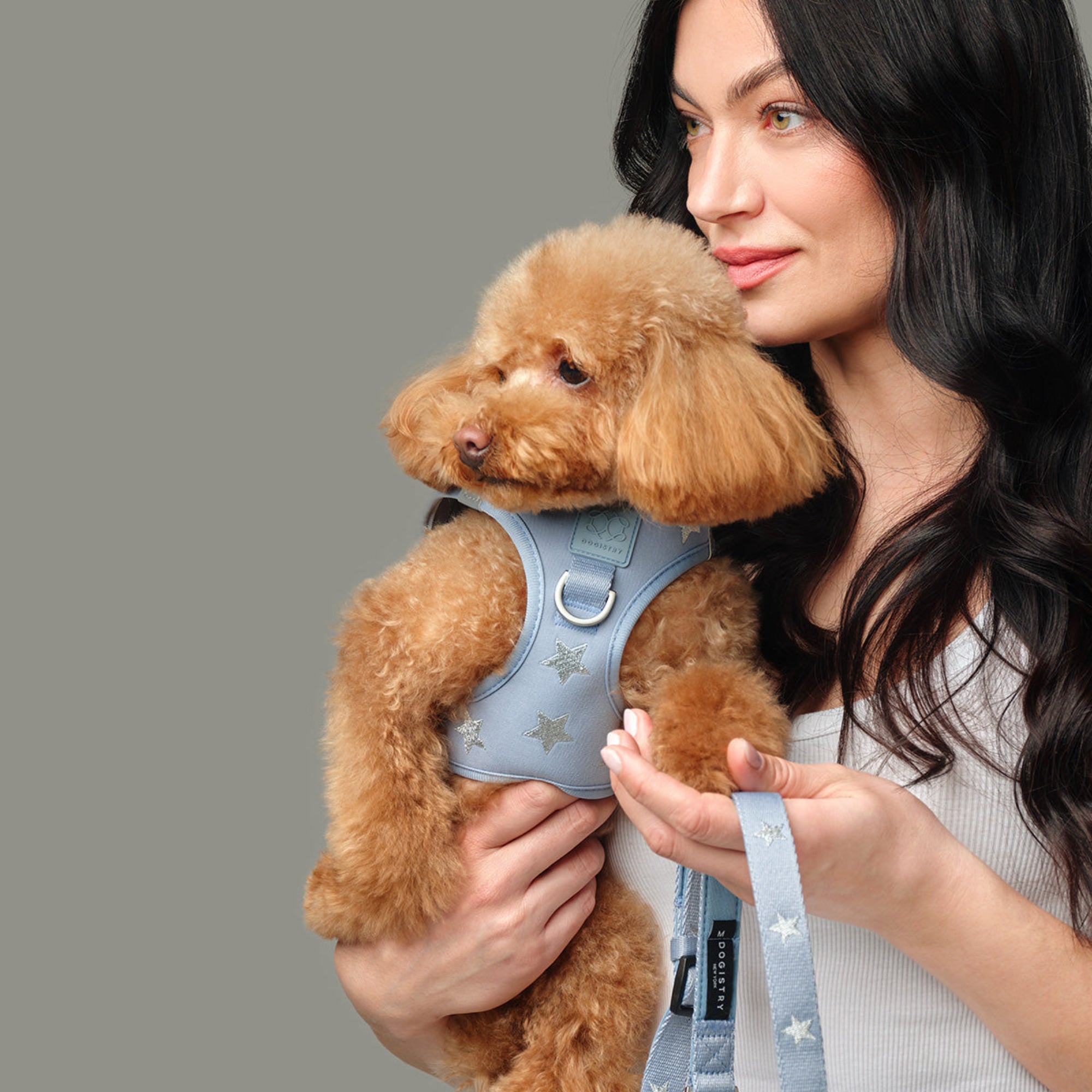 City Leash Set - Rockstar Hudson