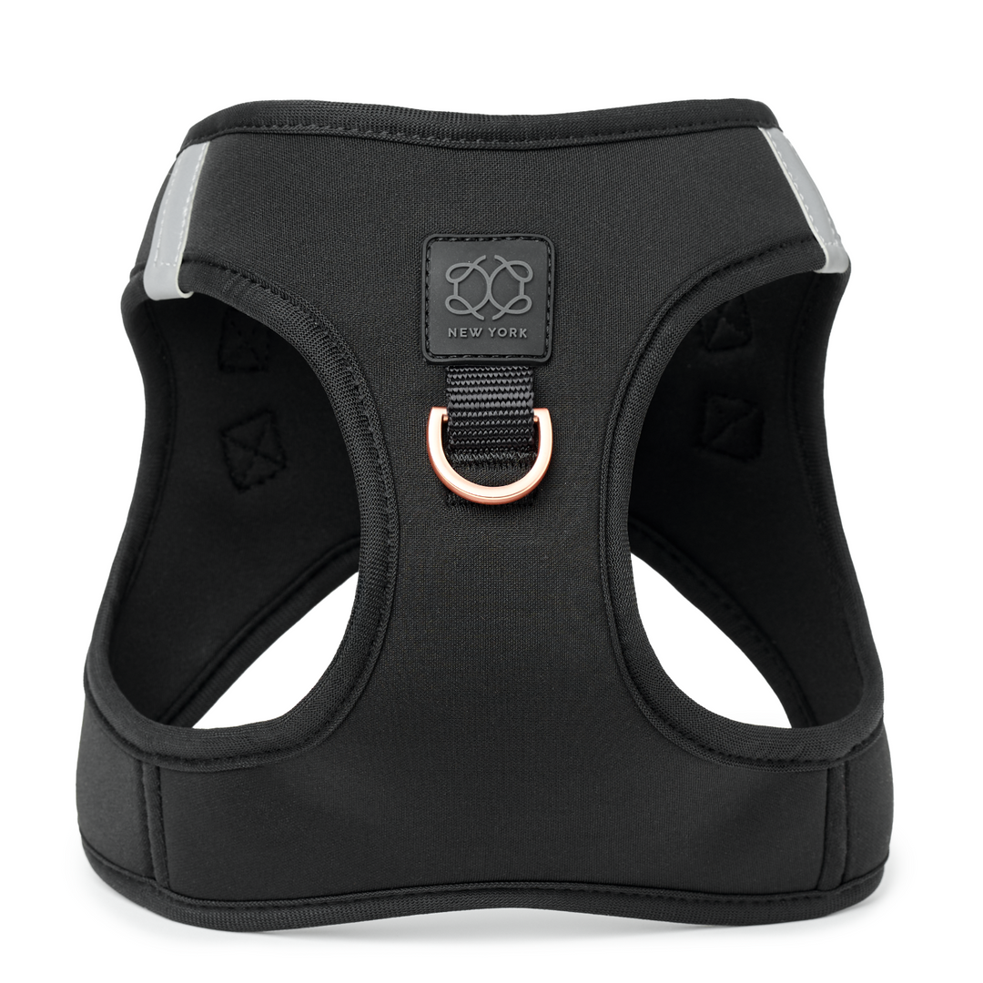 designer dog leashes and collars, designer dog collar and leash, pet accessories designer, fancy harness for dogs, luxury dog harness, fancy dog stuff, pet accessories designer, stylish dog leash